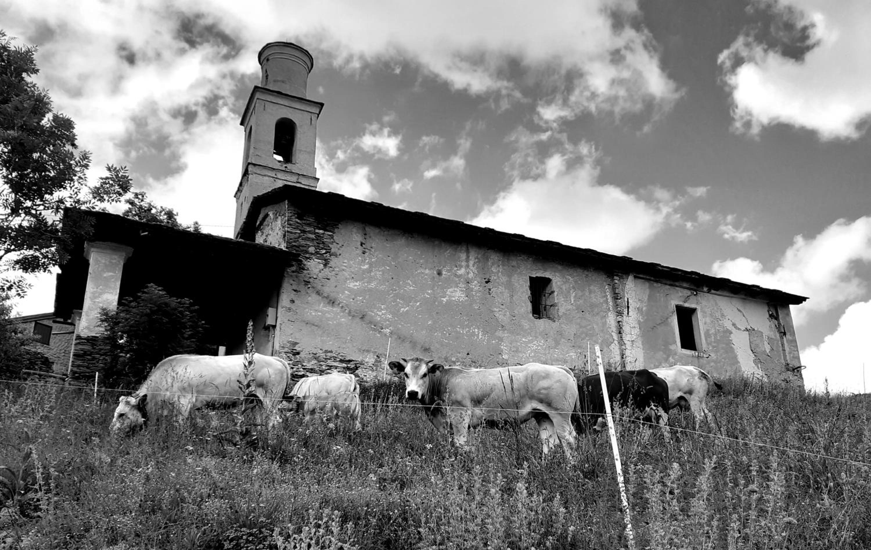 Photo 40