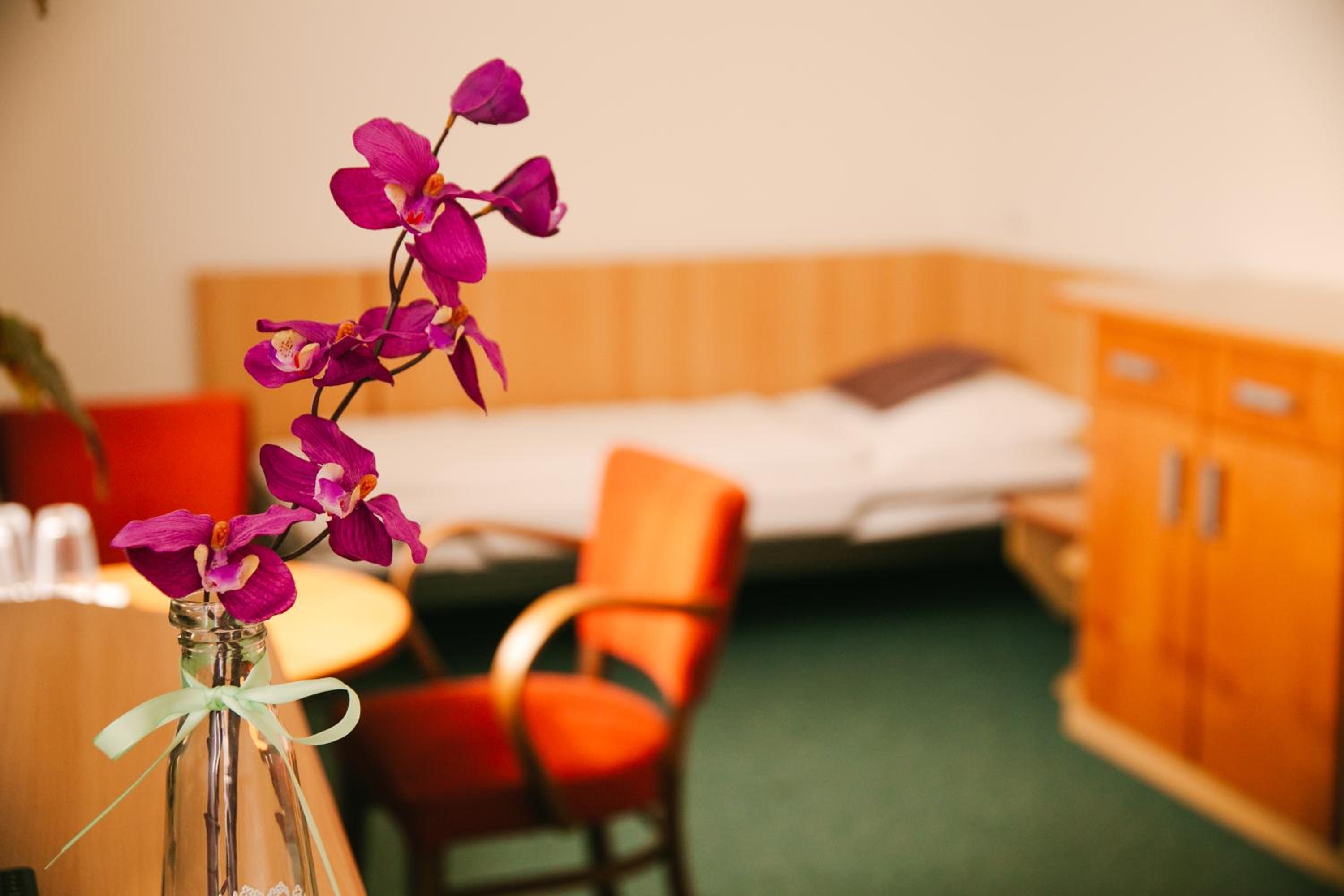 Penzion Hotelu Central
