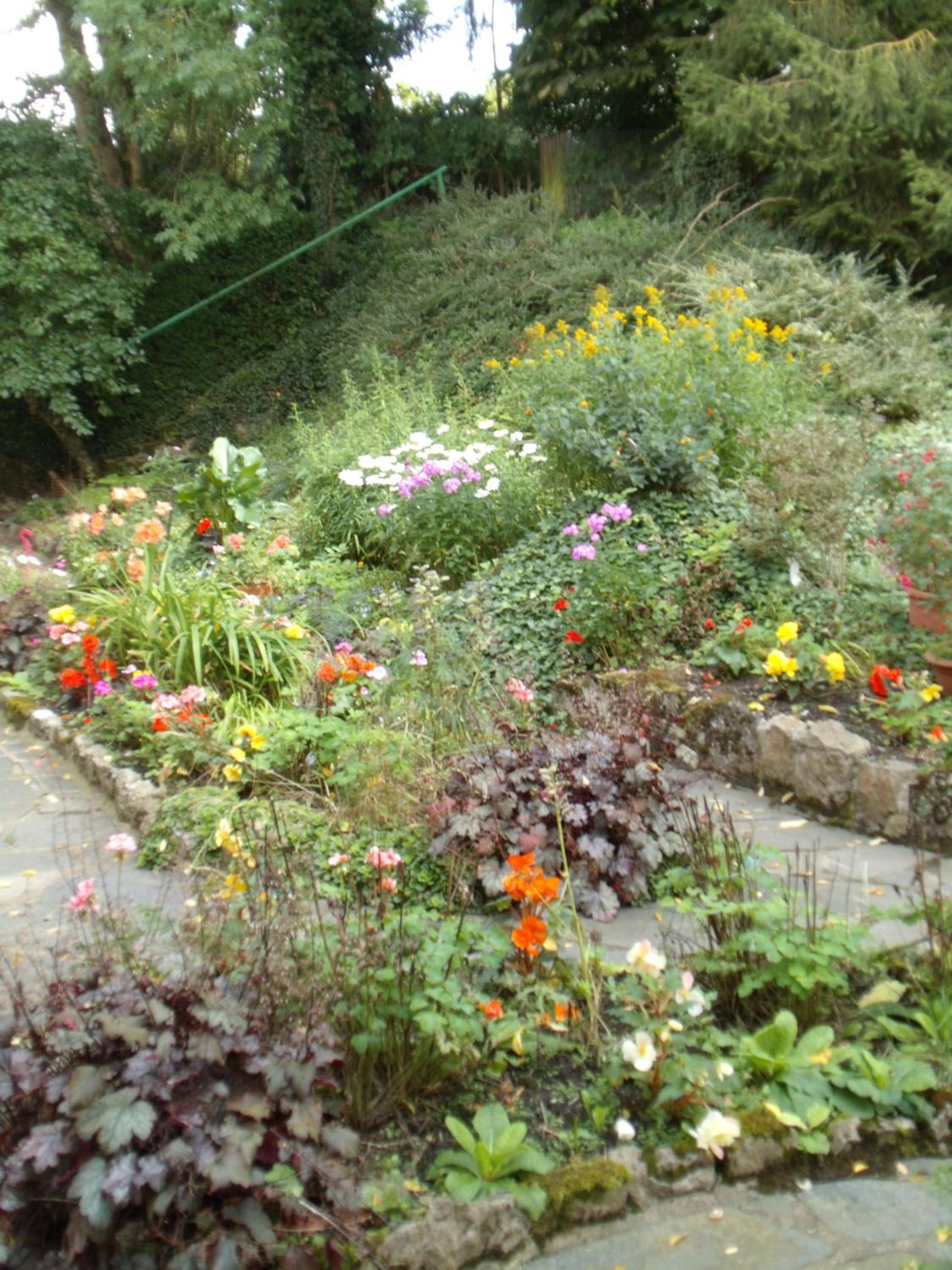 Photo 12