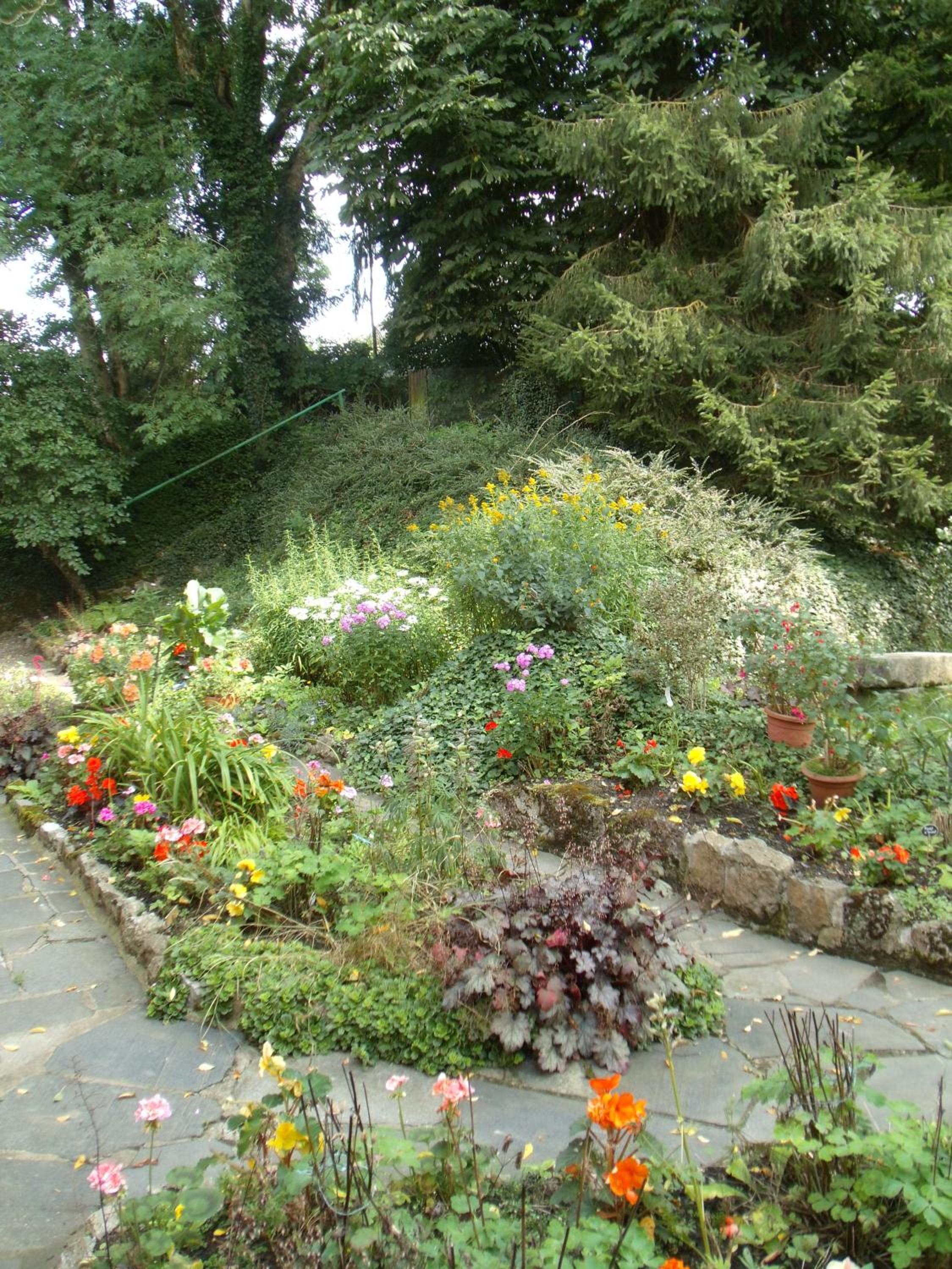 Photo 16