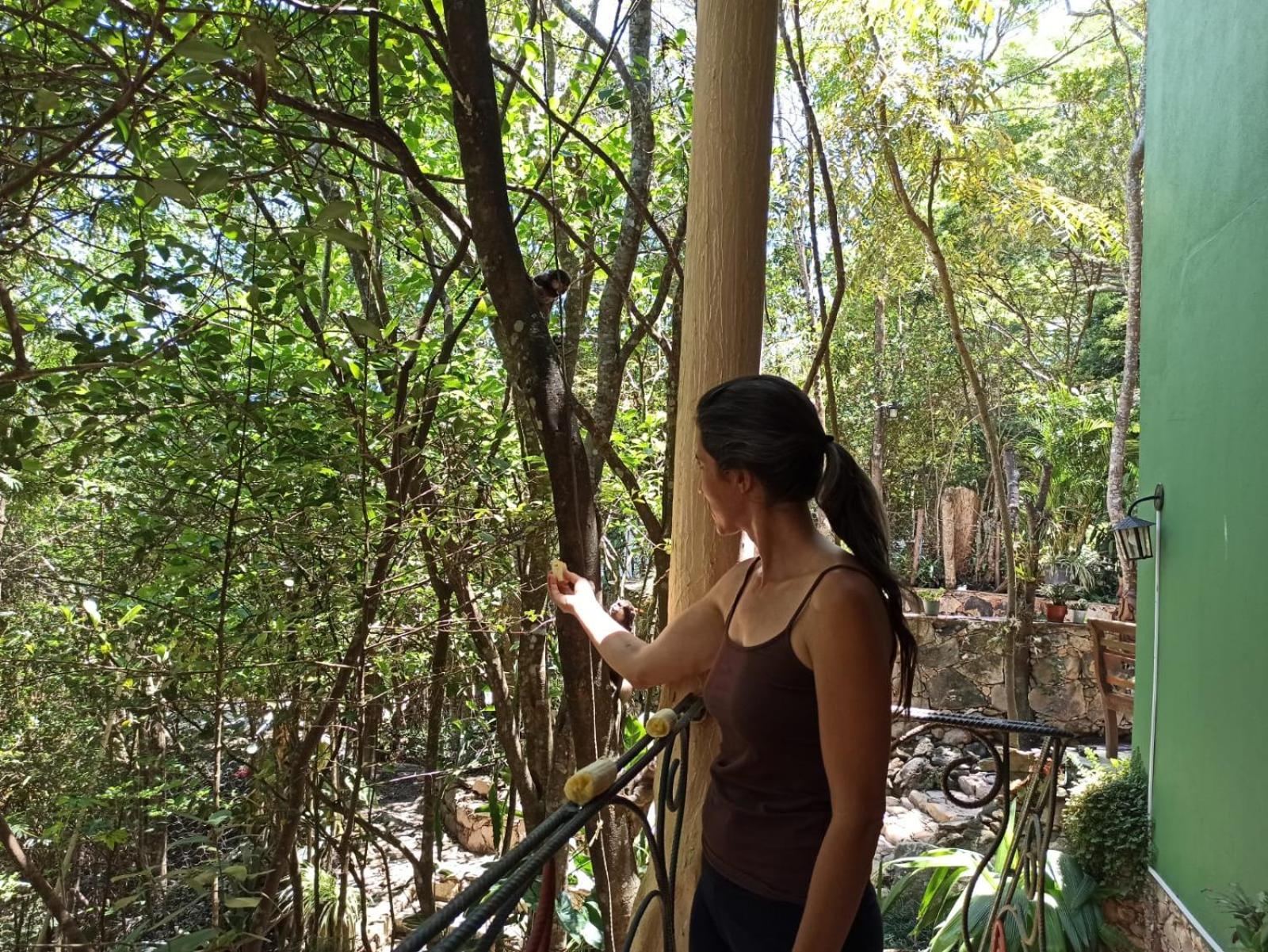 CASA DA MATA descanso e sossego na natureza
