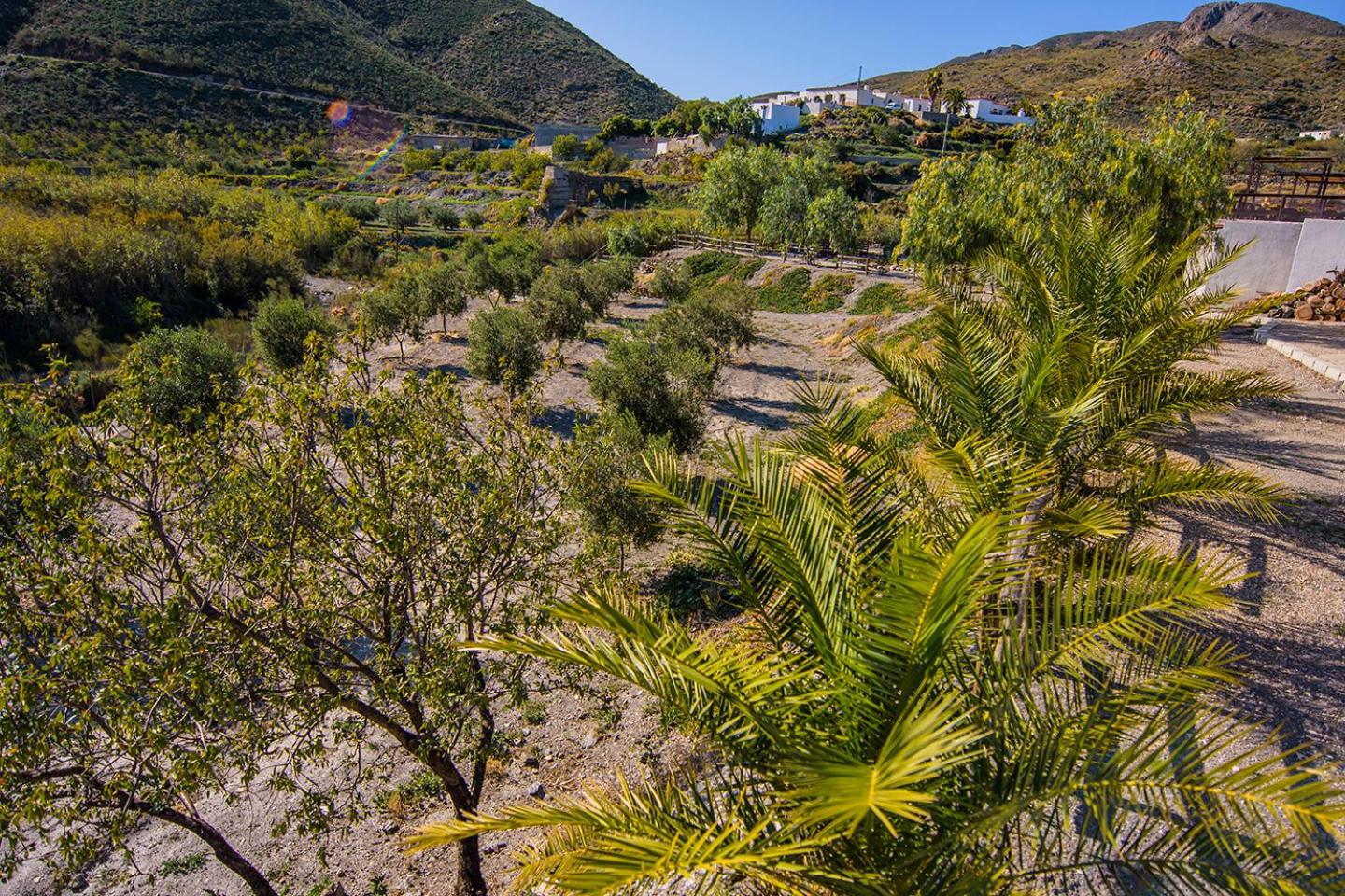 Cortijo 4 Elementos