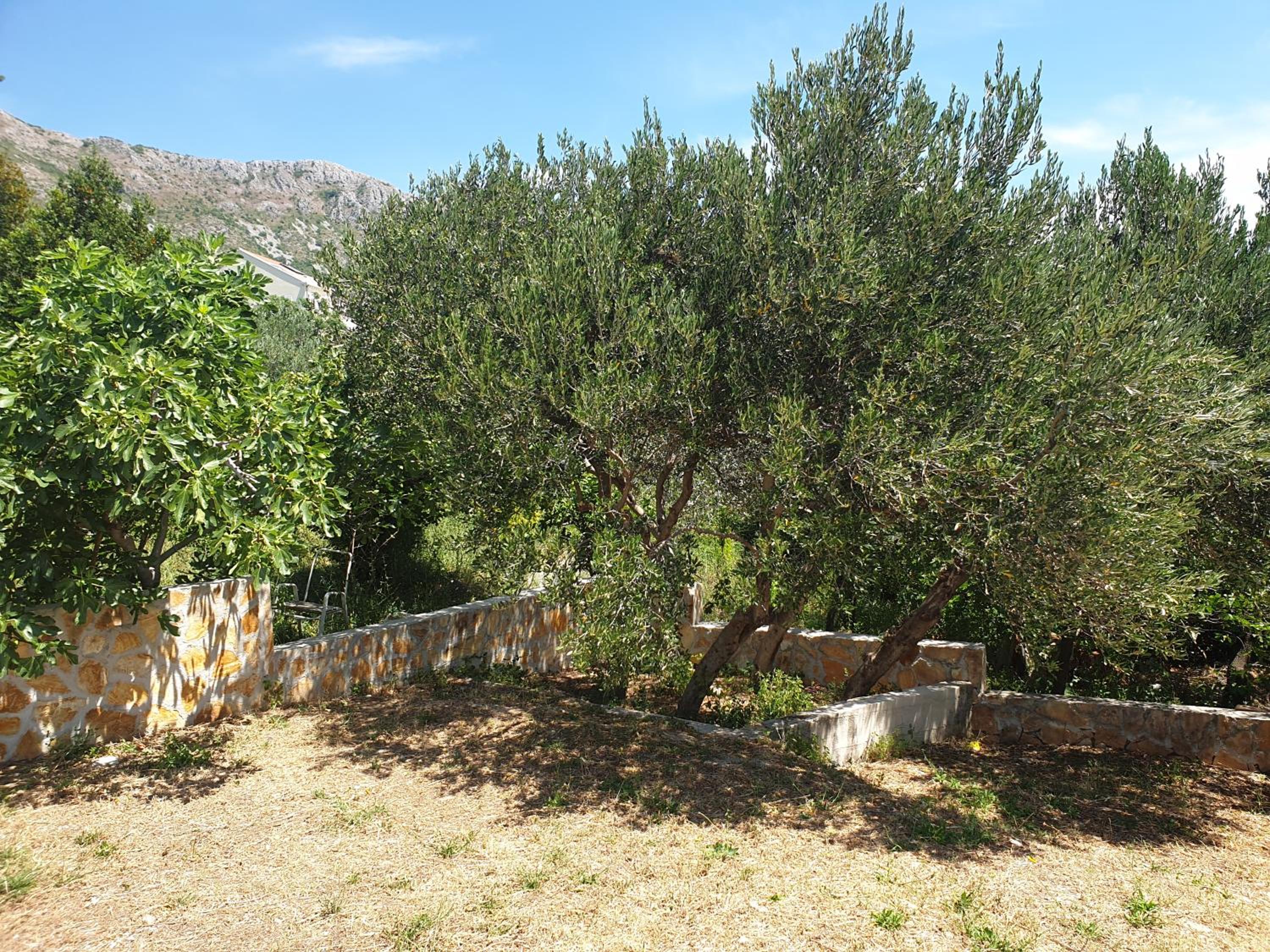 Villa Avoca