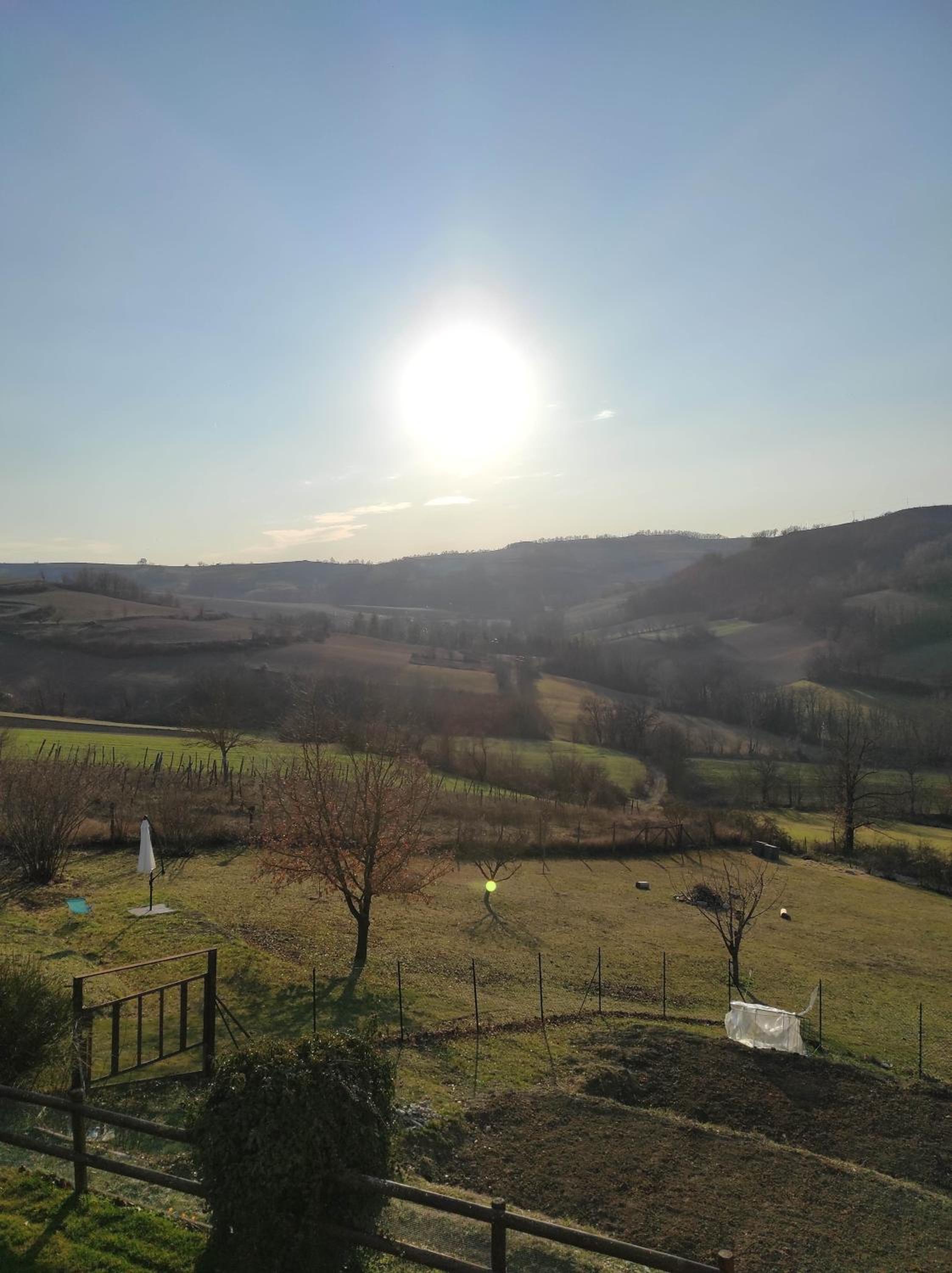 B&B Anyme view 5