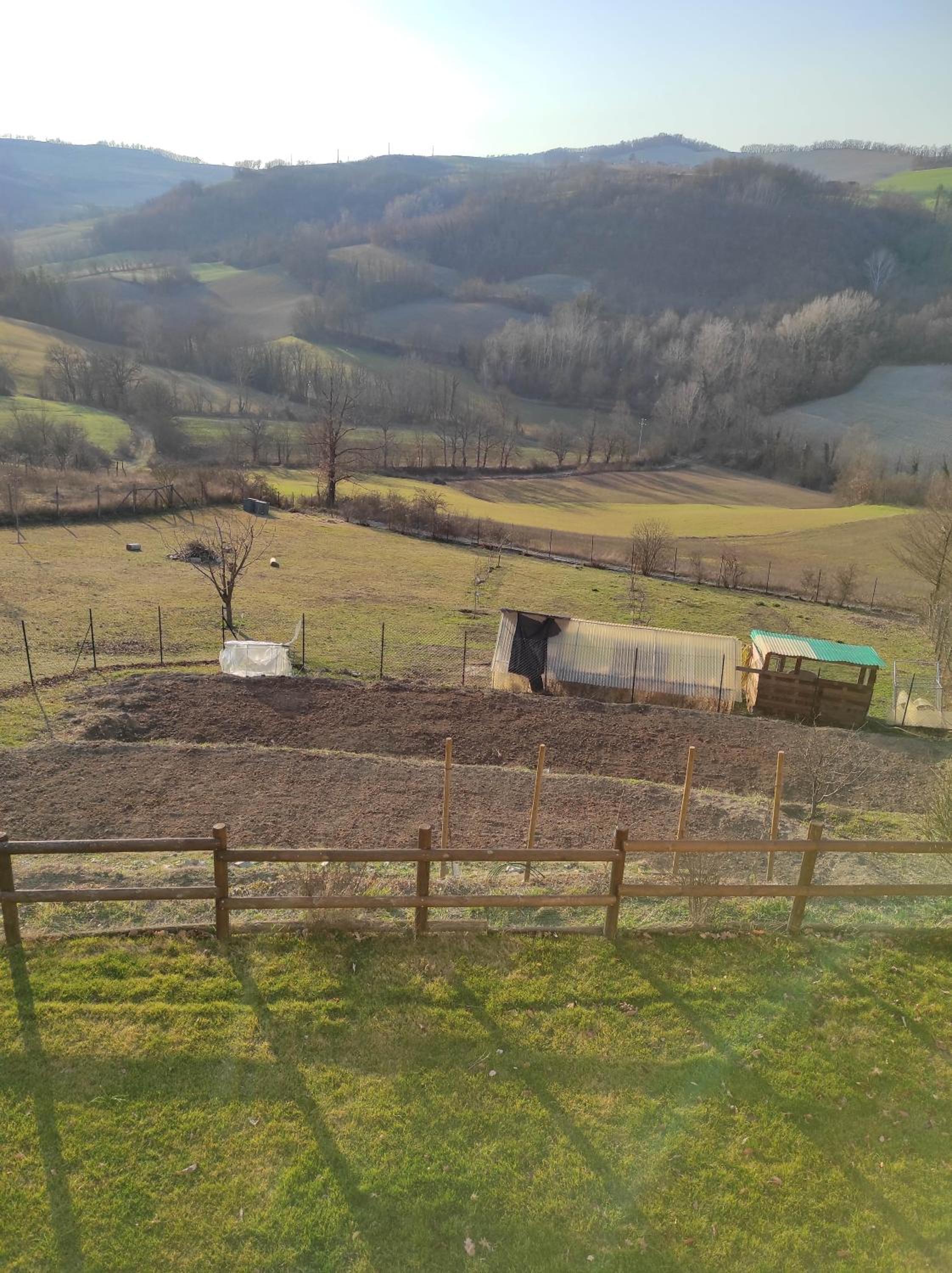 B&B Anyme view 2
