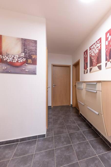 Apartment Ludvig Zell am See - Kaprun with spacious terrace