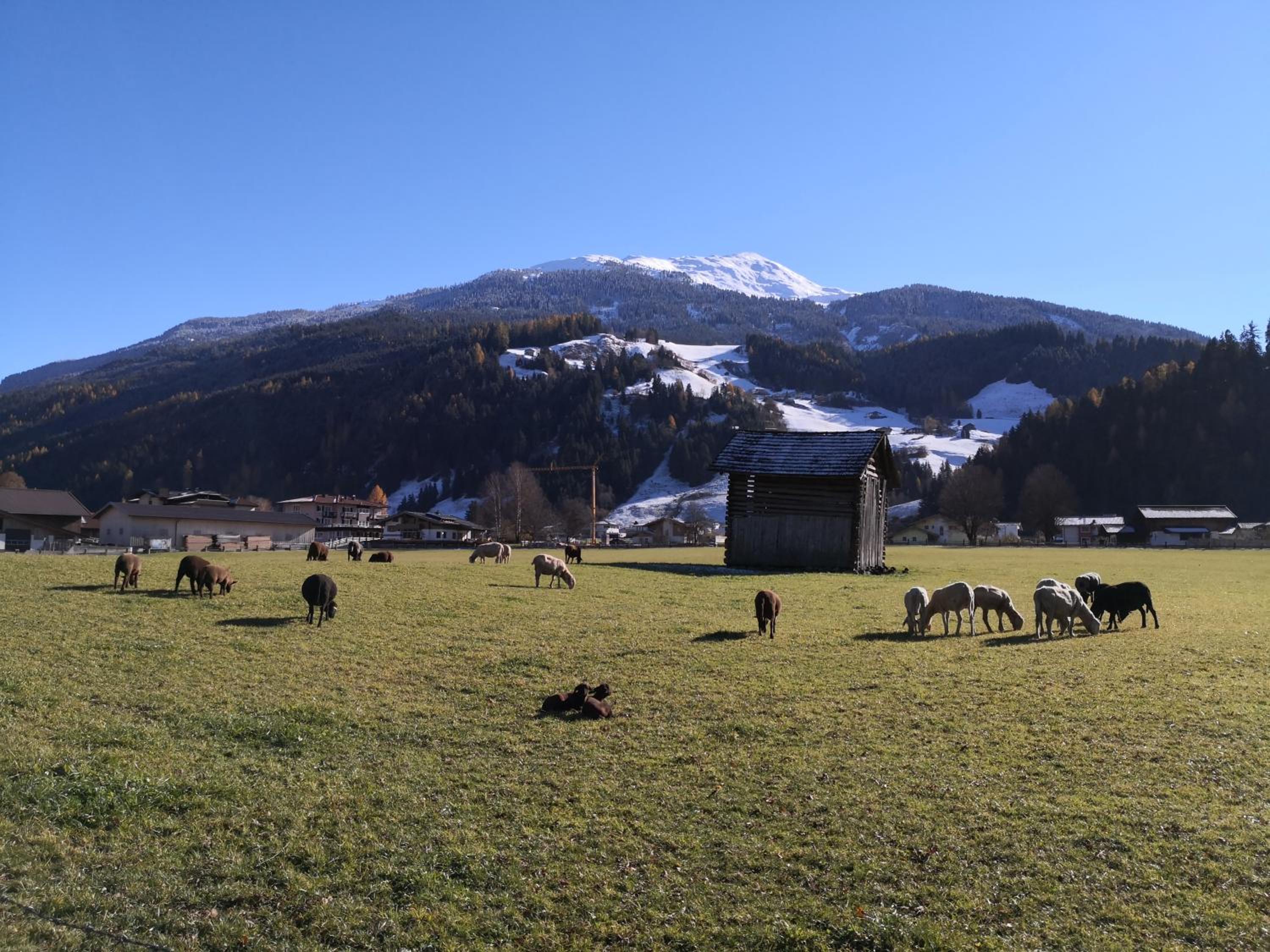 Alpen Chalet Bramberg
