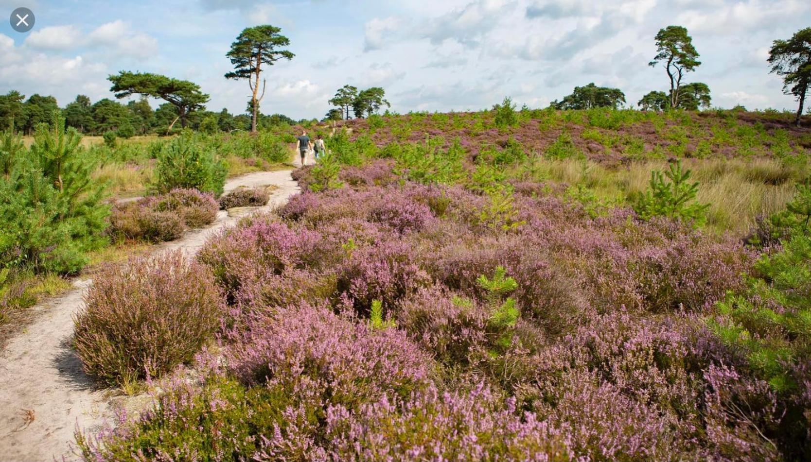 LinZn vakantiehuis