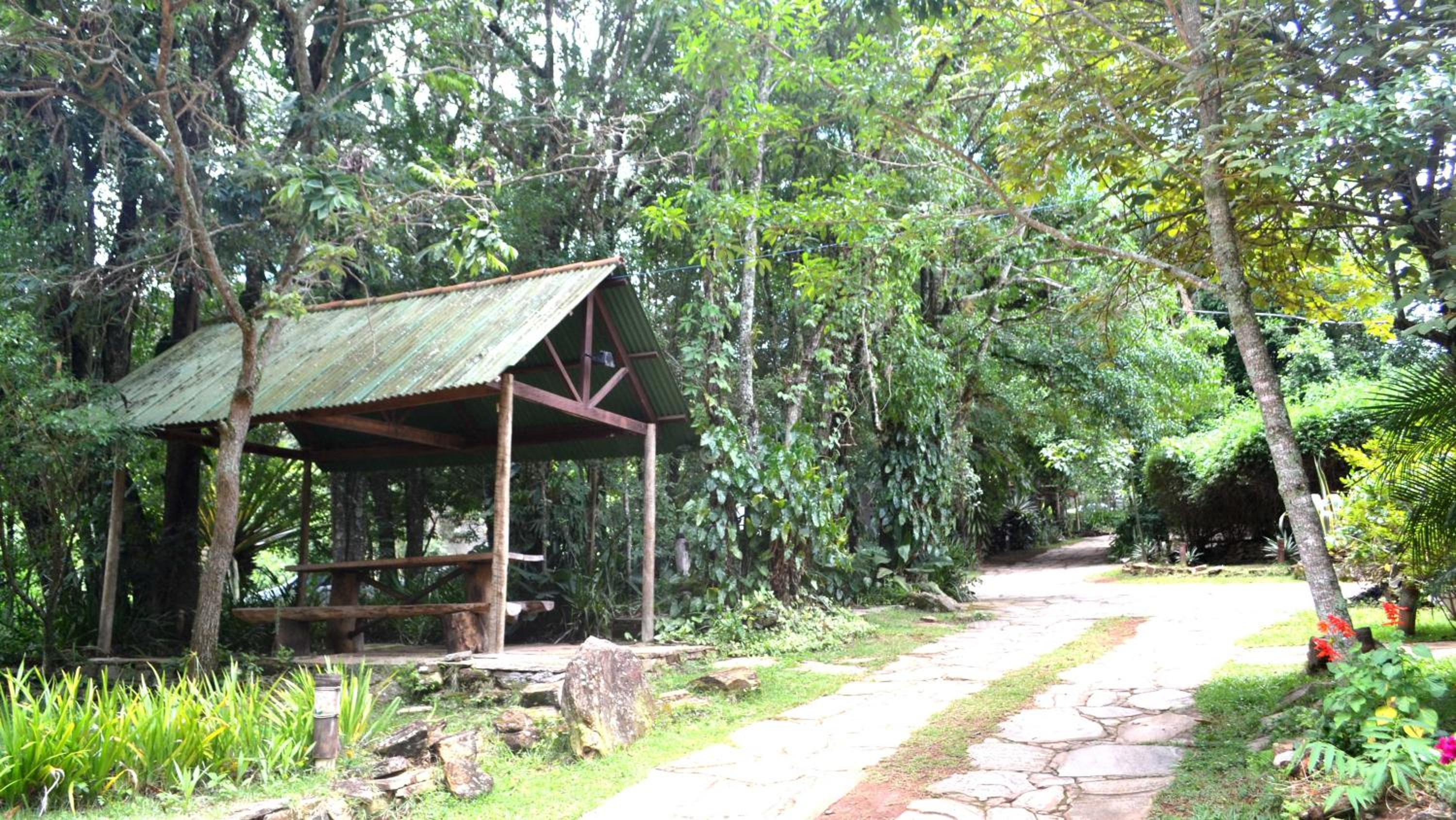 Photo 13