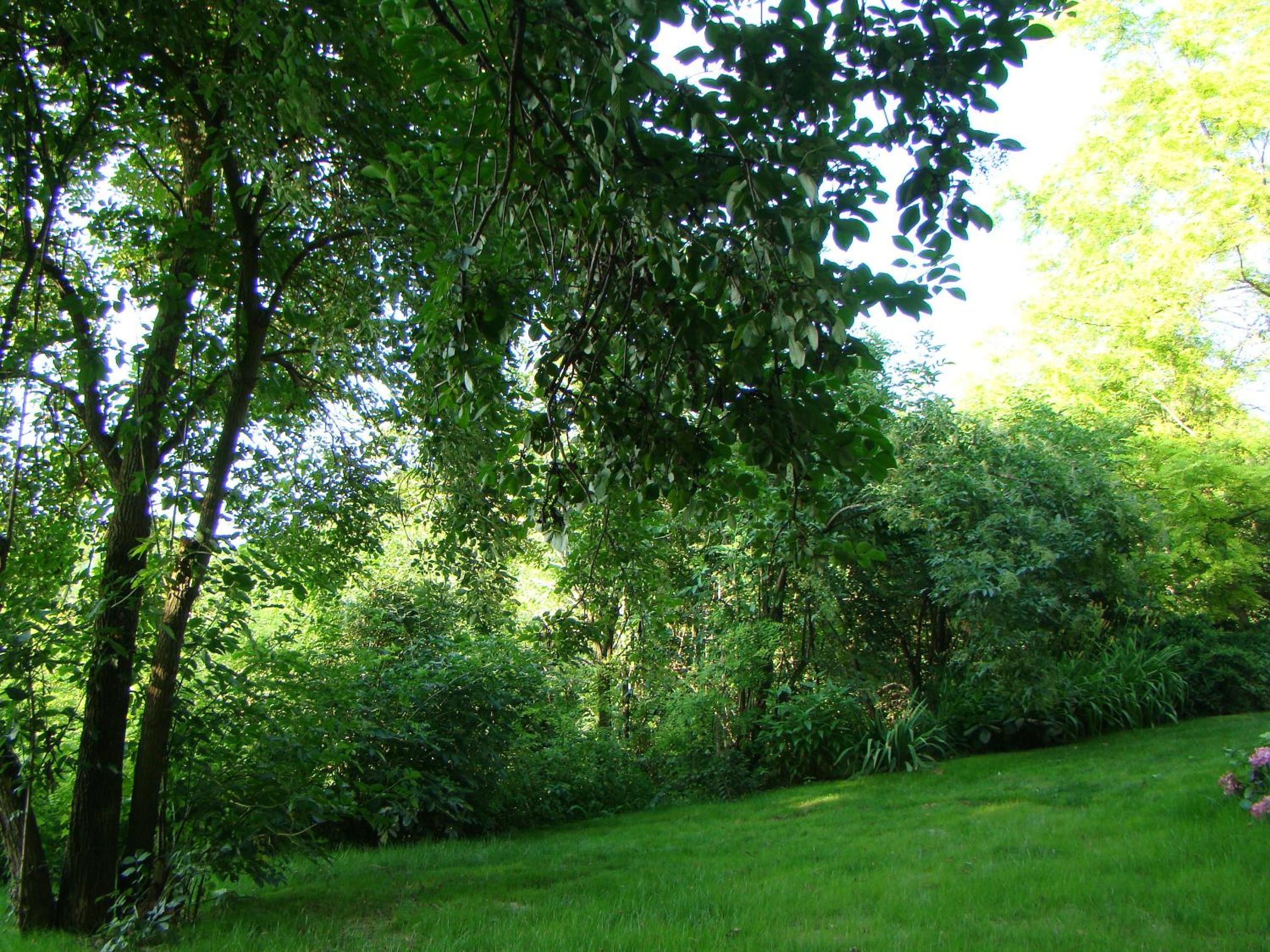 Photo 27