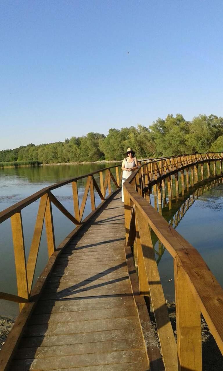 Photo 32