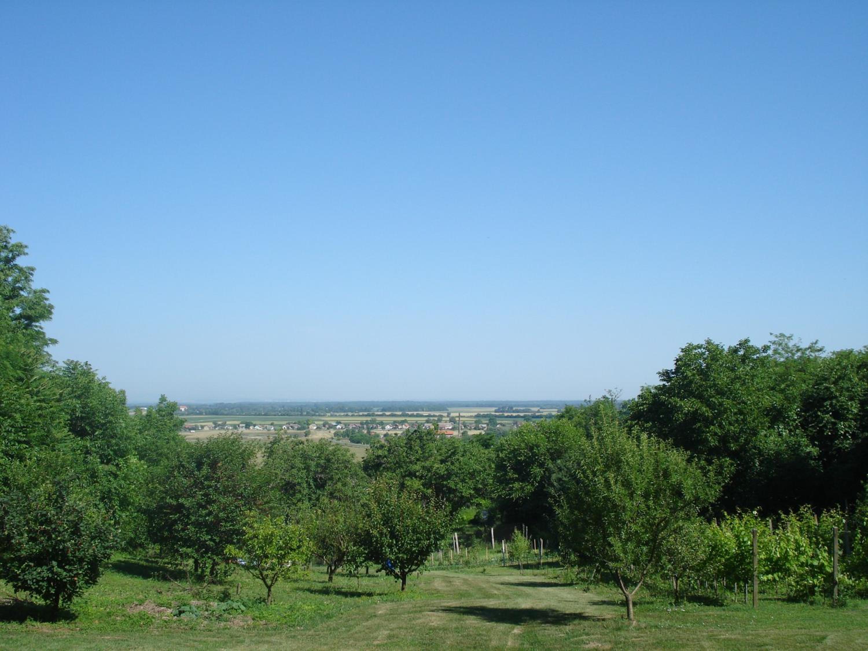 Photo 46