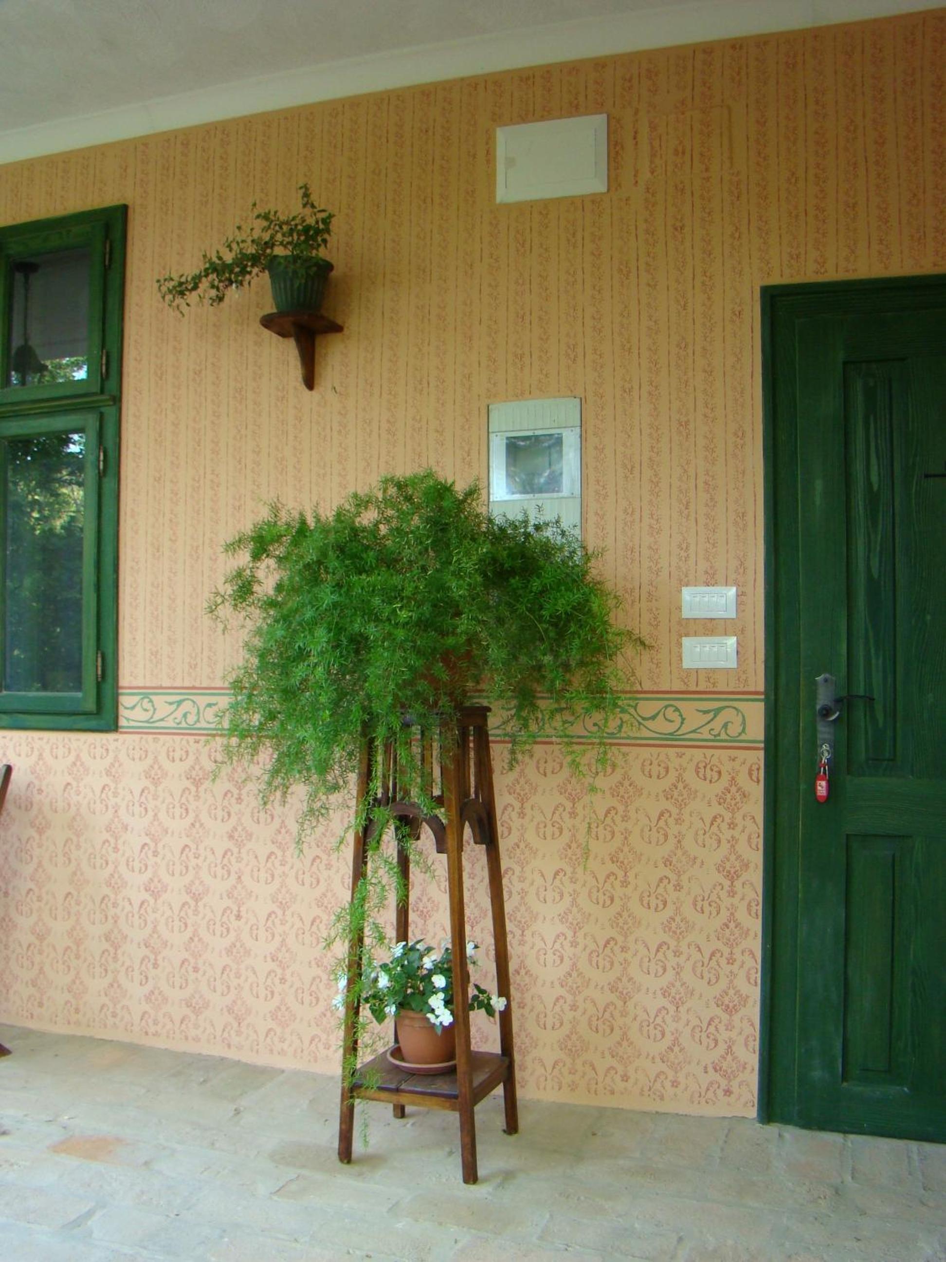 Photo 43