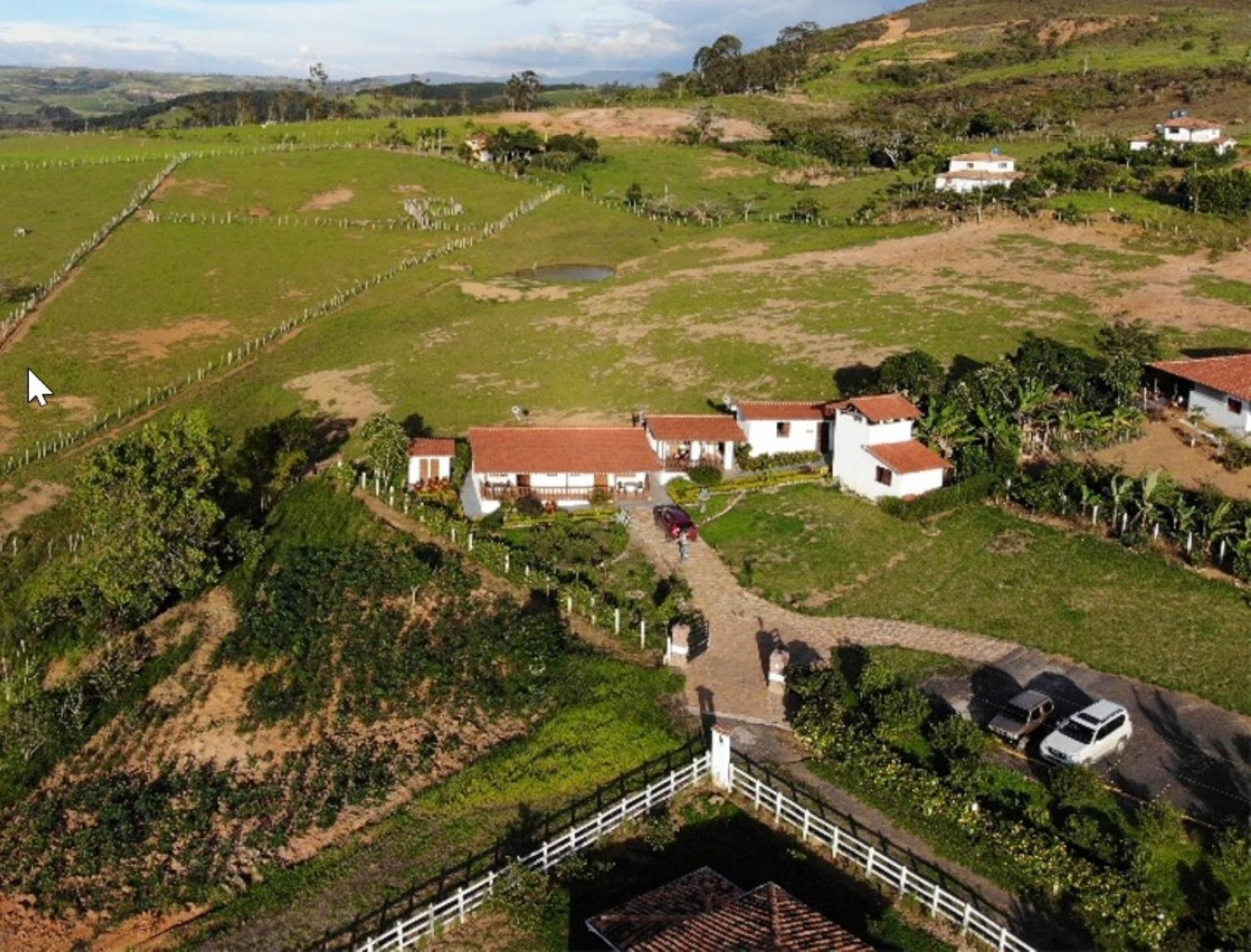 Timbarra Cottage