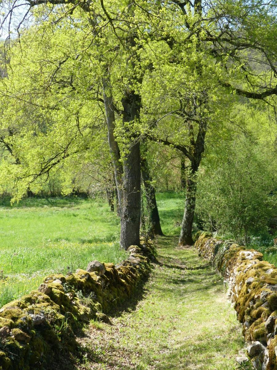 Le Hameau du Quercy