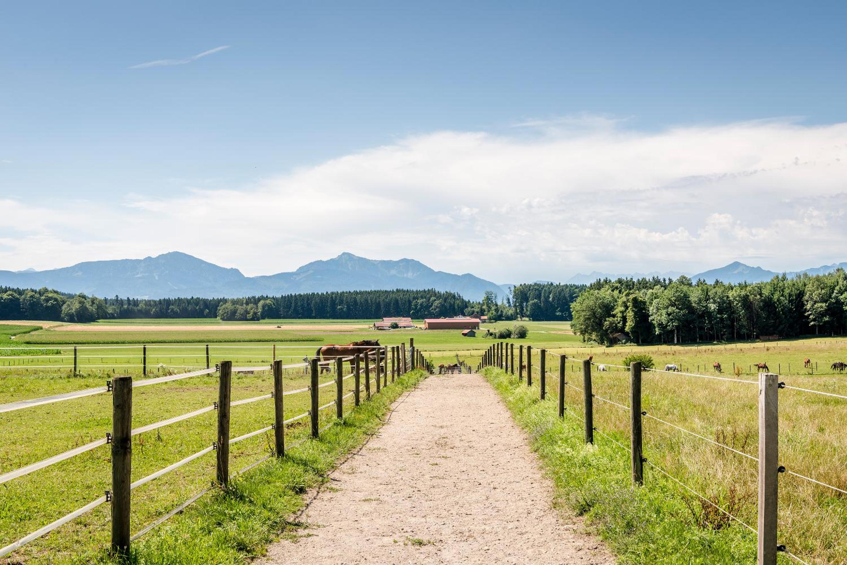 Ferienwohnungen Gut Fasanenhöhe view 3