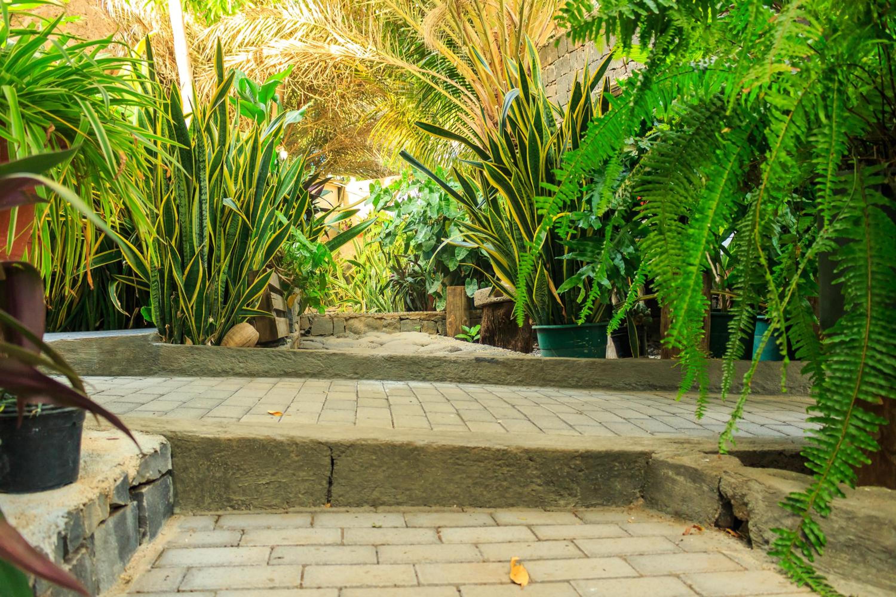 Pousada Quinta Ribeirinha