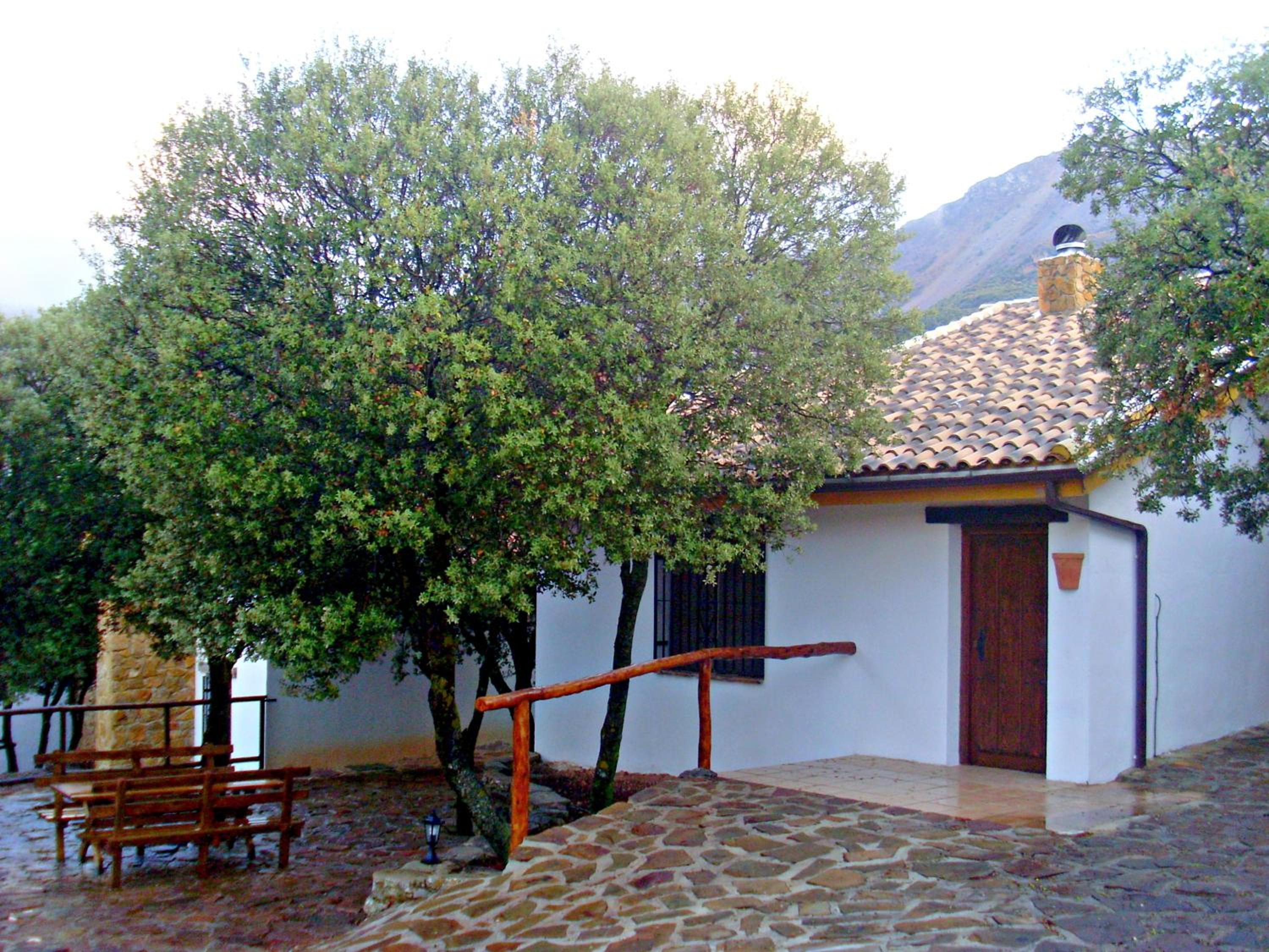 Photo 26