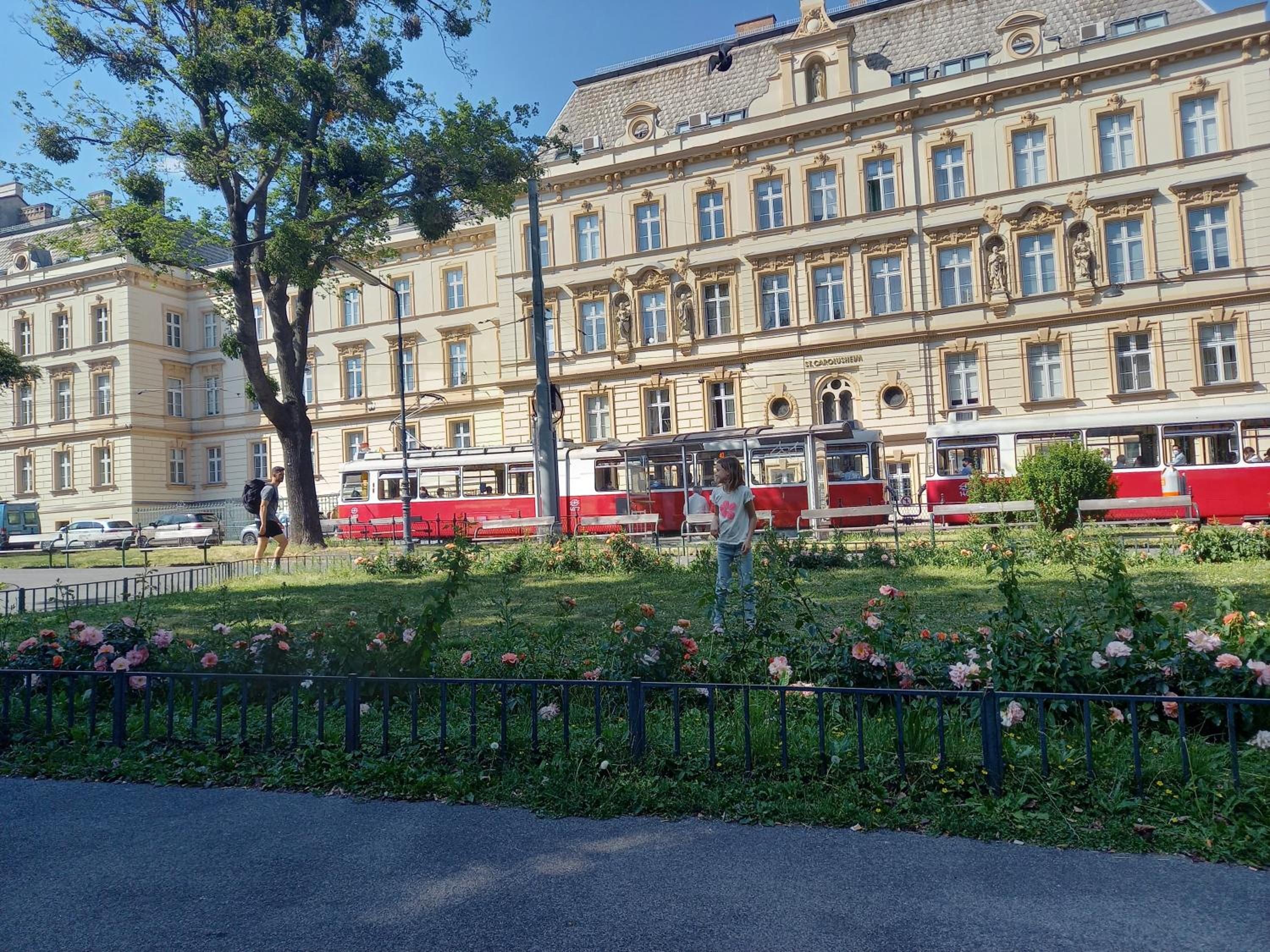 The Room for Artists Vienna