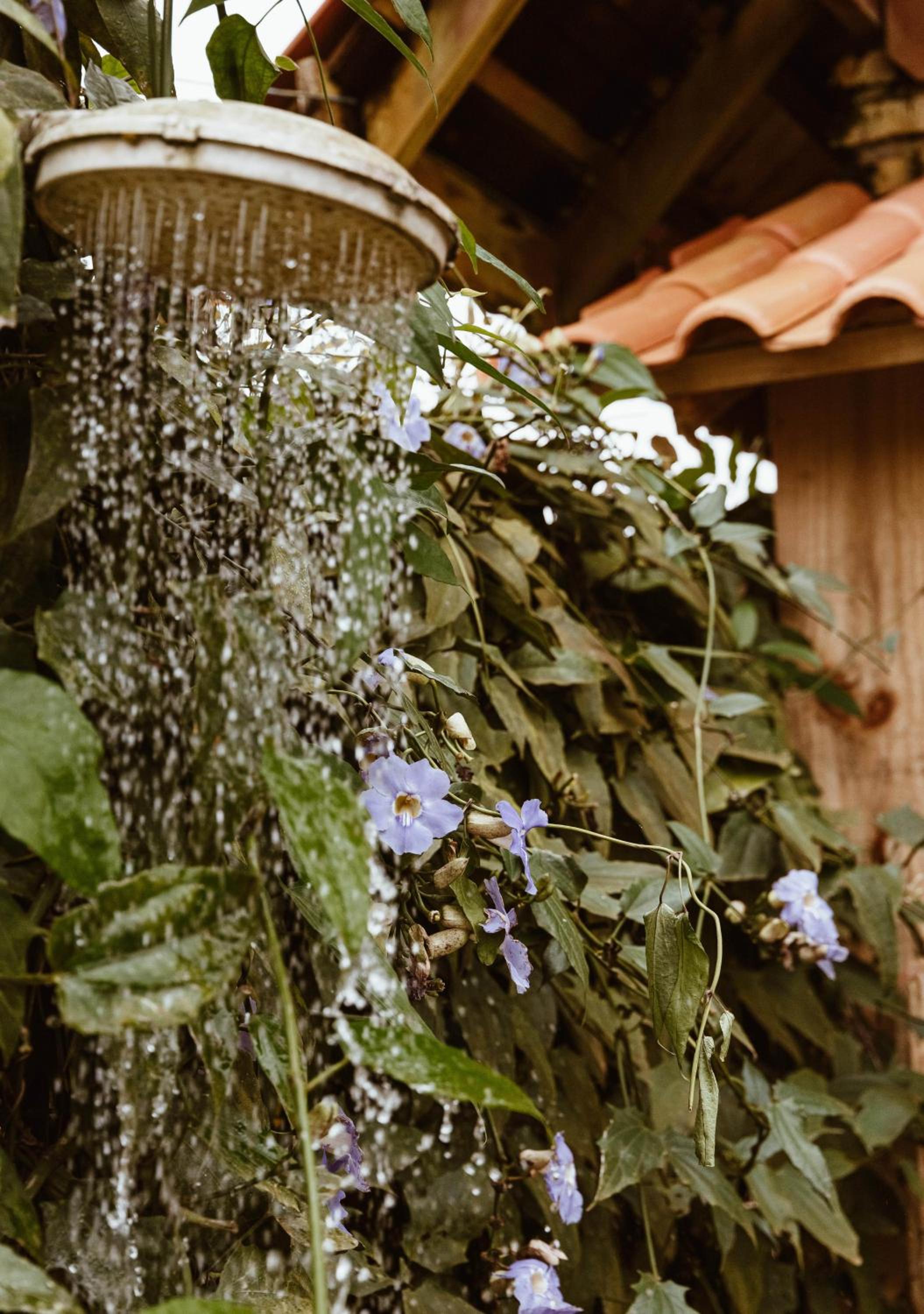 Chalé Sol com hidromassagem em meio a natureza