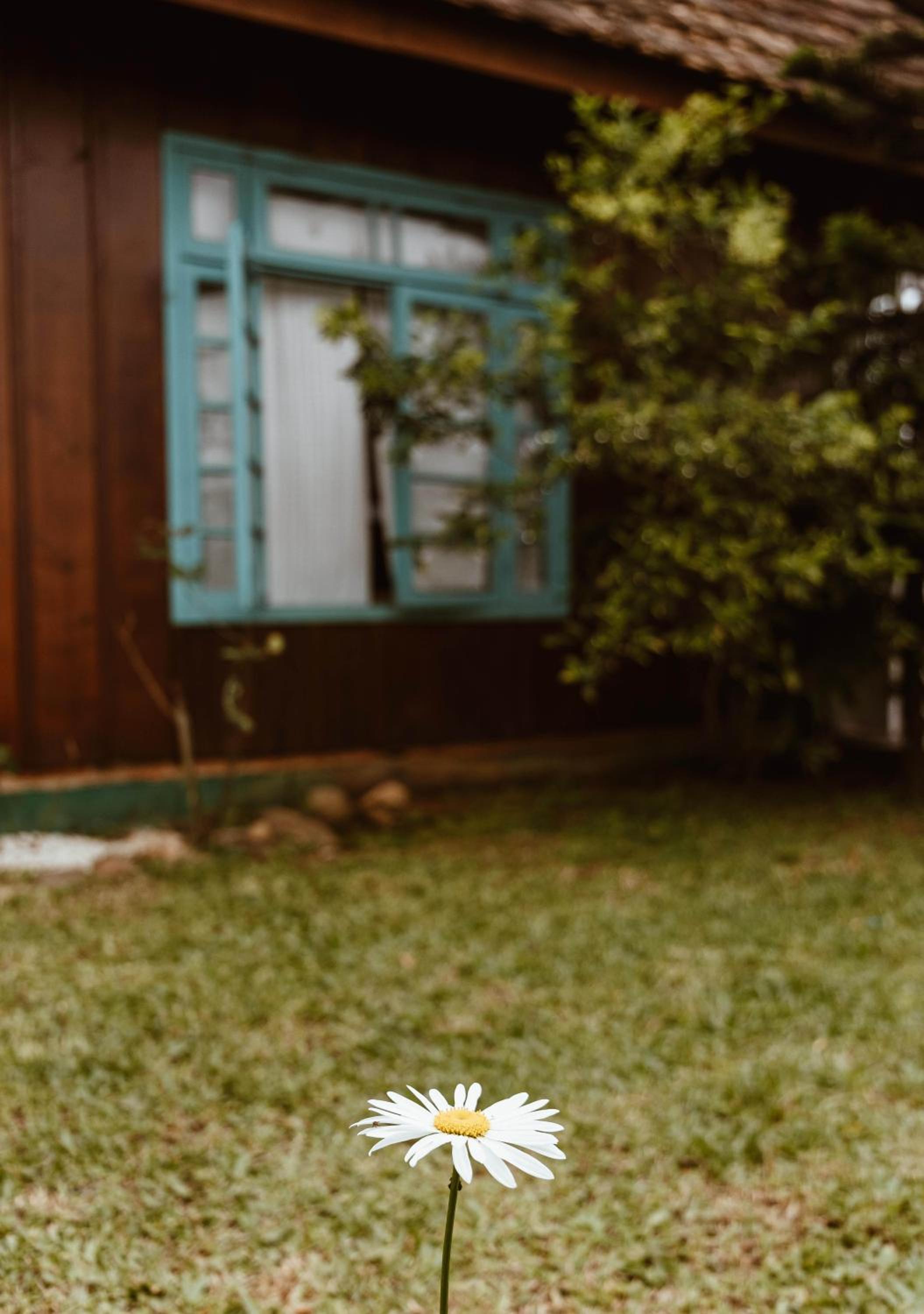 Chalé Sol com hidromassagem em meio a natureza
