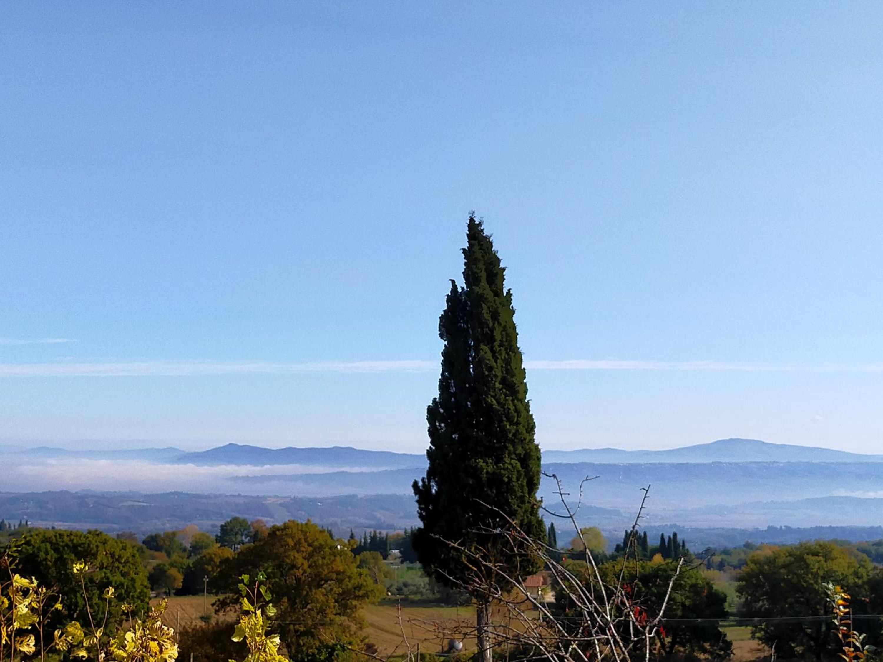 Il Borgo Del Lupo Relax Family Apartments in Tuscany with Restaurant & Swimming Pool
