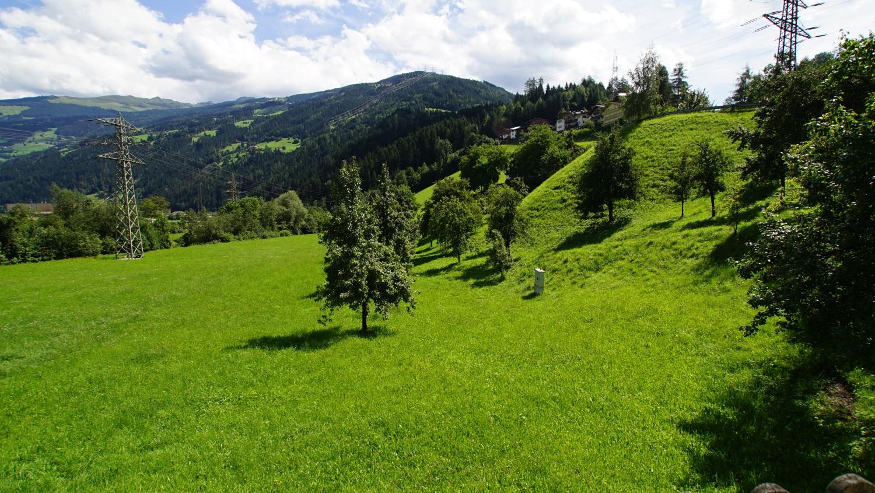 Haus Andrea Schiestl