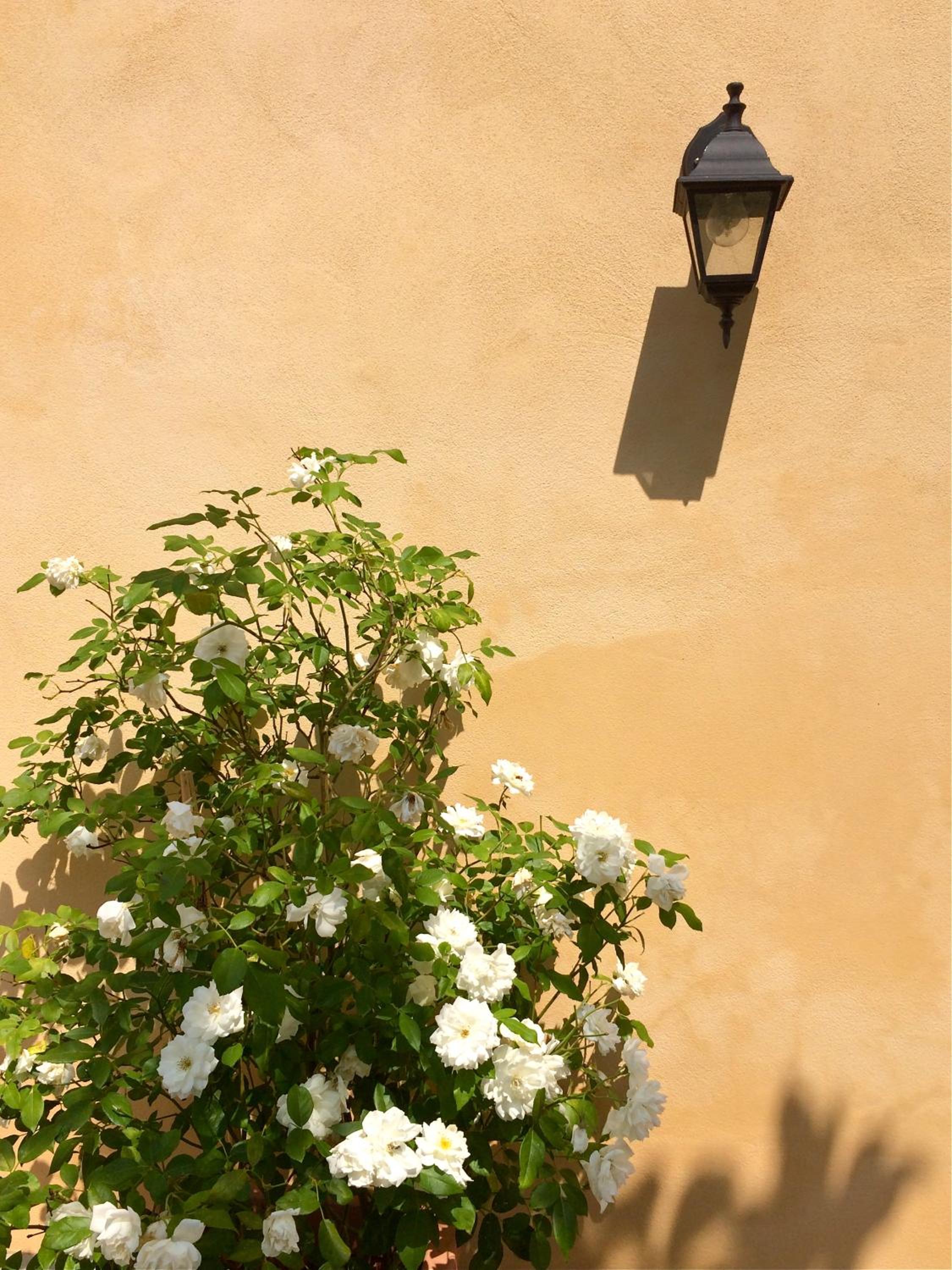 Cascina Vicentini