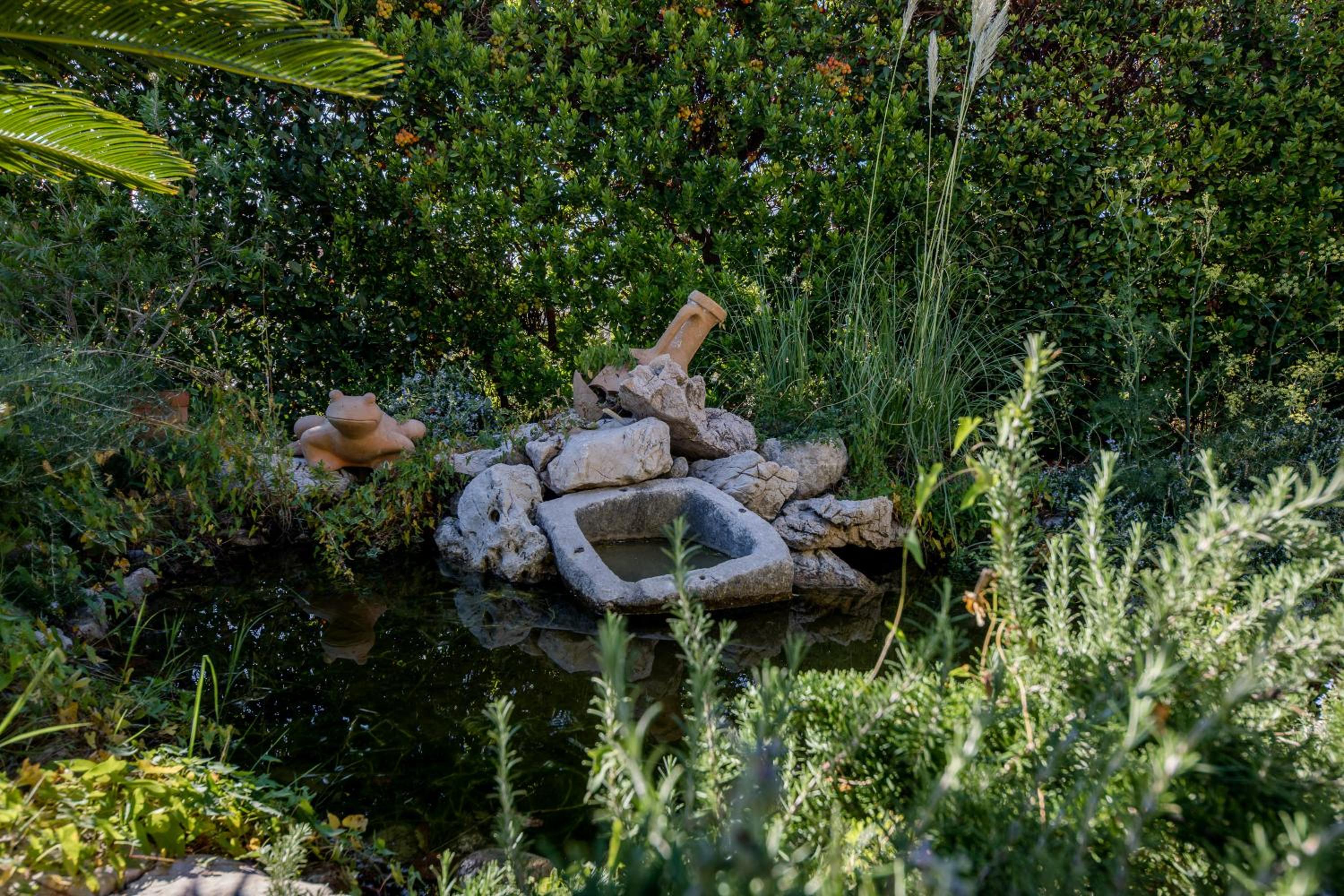 Photo 46