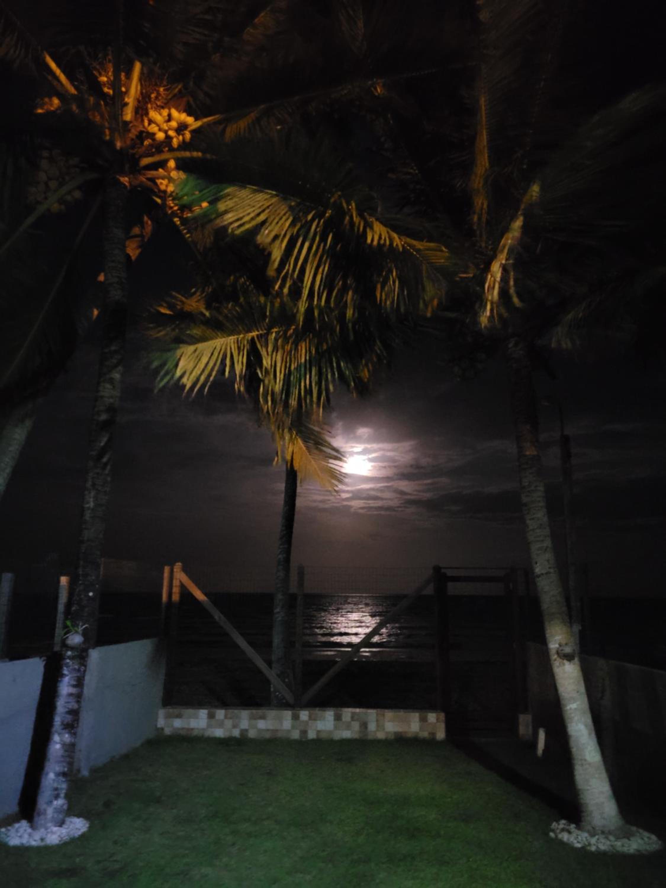 Casa à beira mar de Maragogi com 4 quartos, 4 banheiros e Área Verde