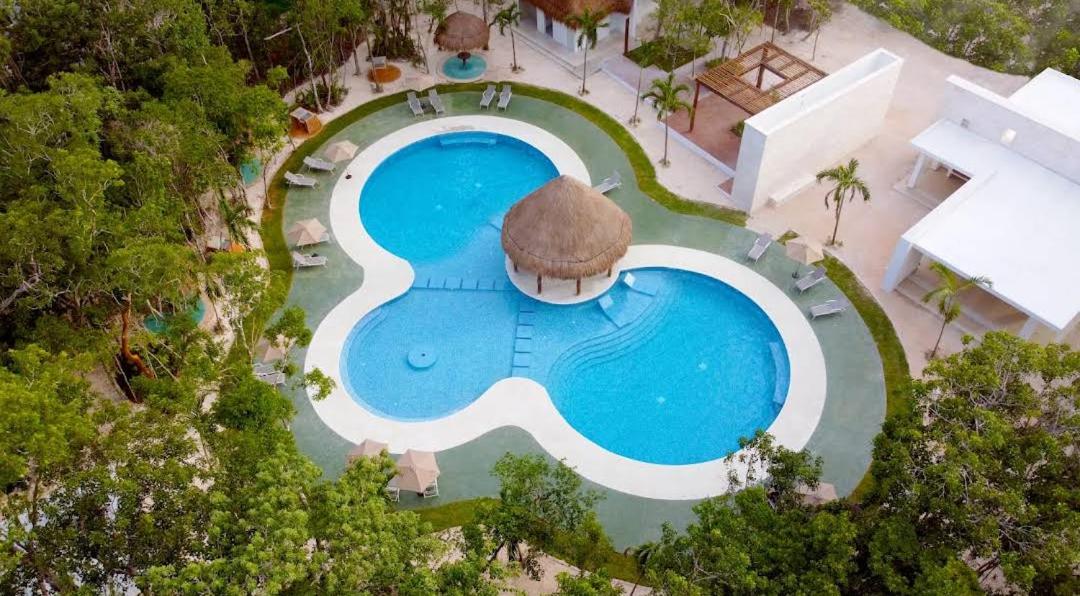 2-Bedroom Condo by the Jungle w/ Swimming pool view 3