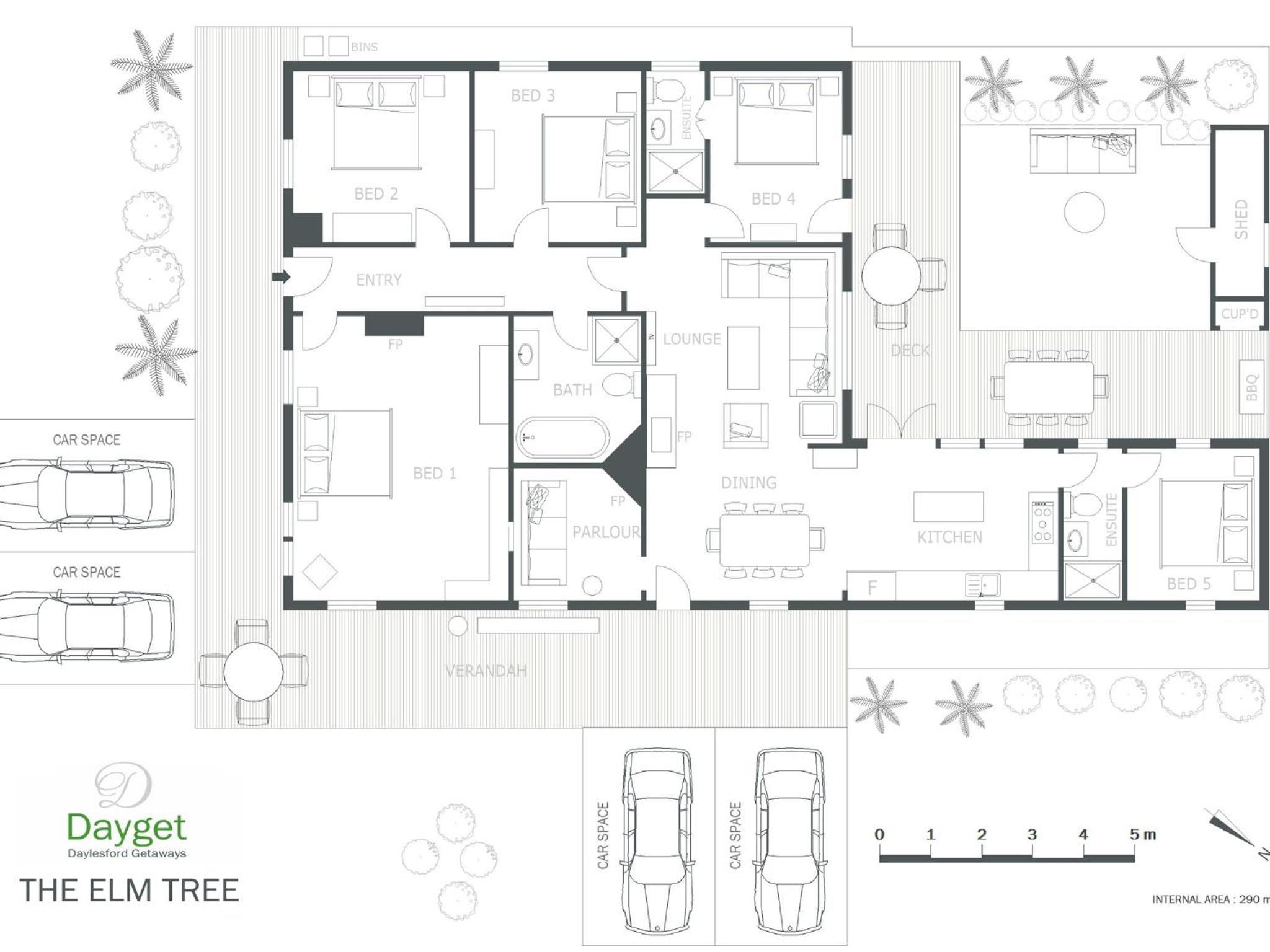 The Elm Tree
