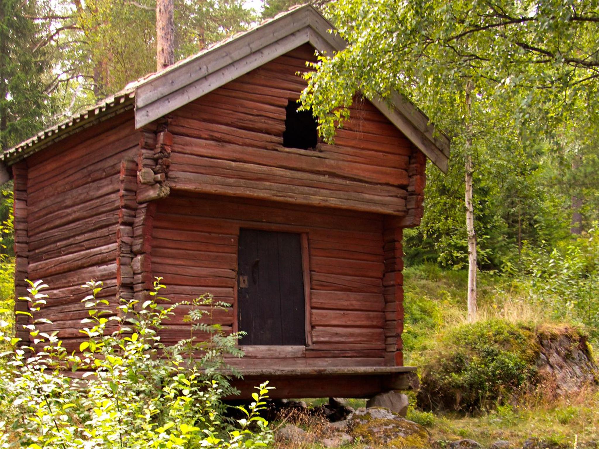 Photo 20