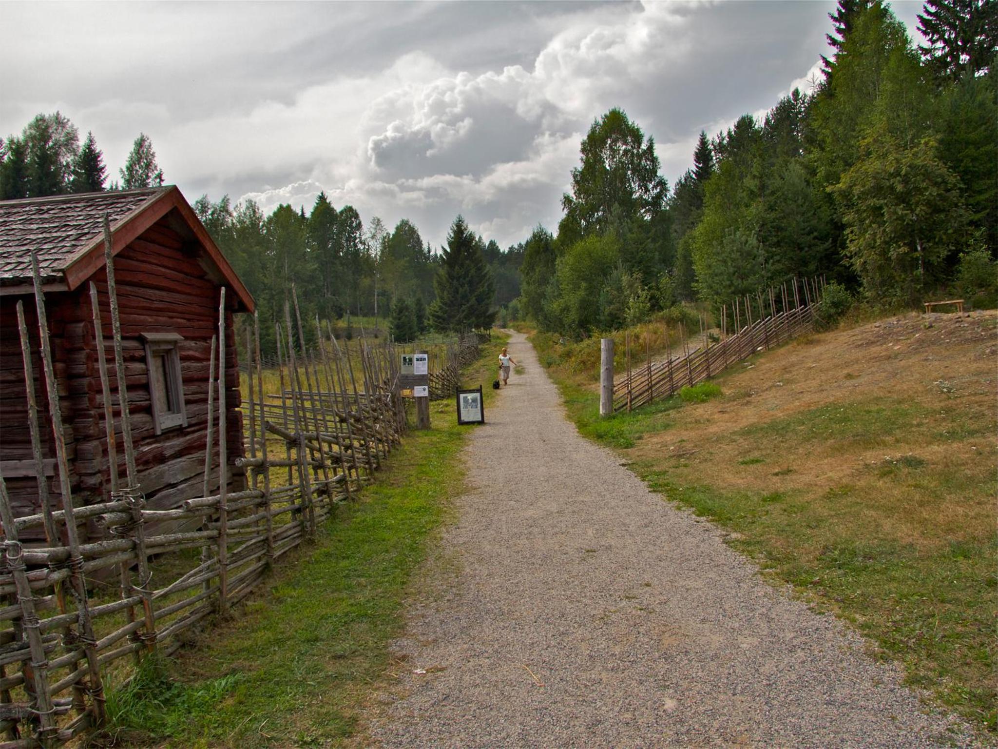 Photo 25