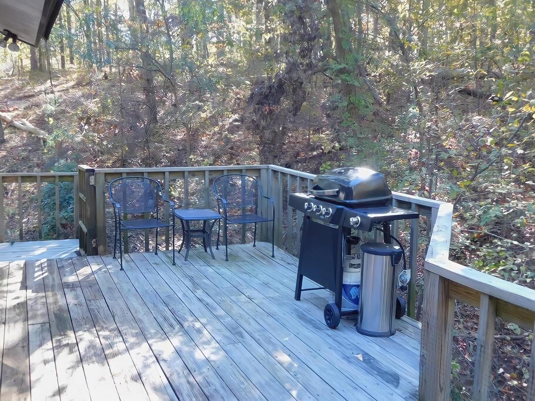 Secluded Home with Mini Waterfall and a Creek in Hot Springs view 5