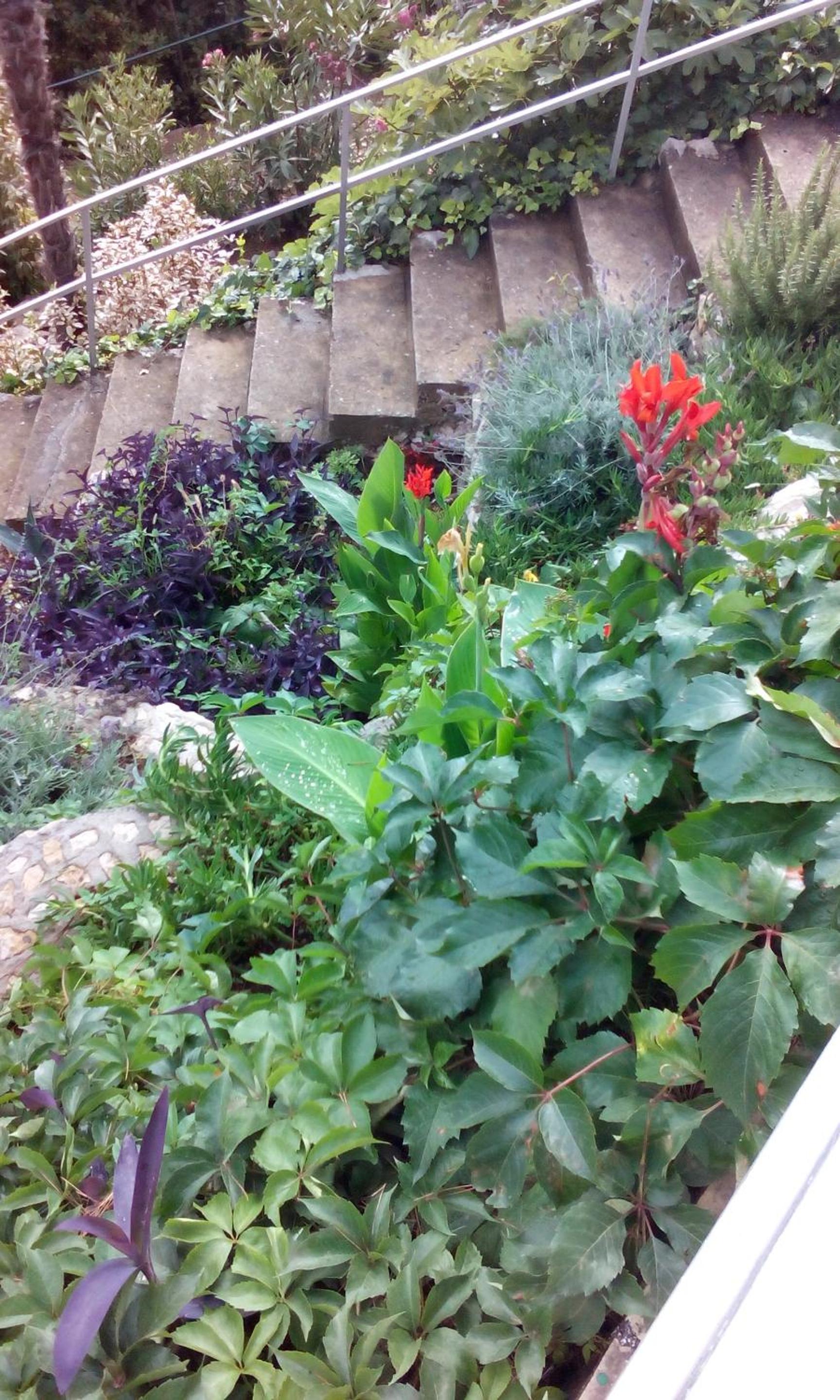 Photo 63
