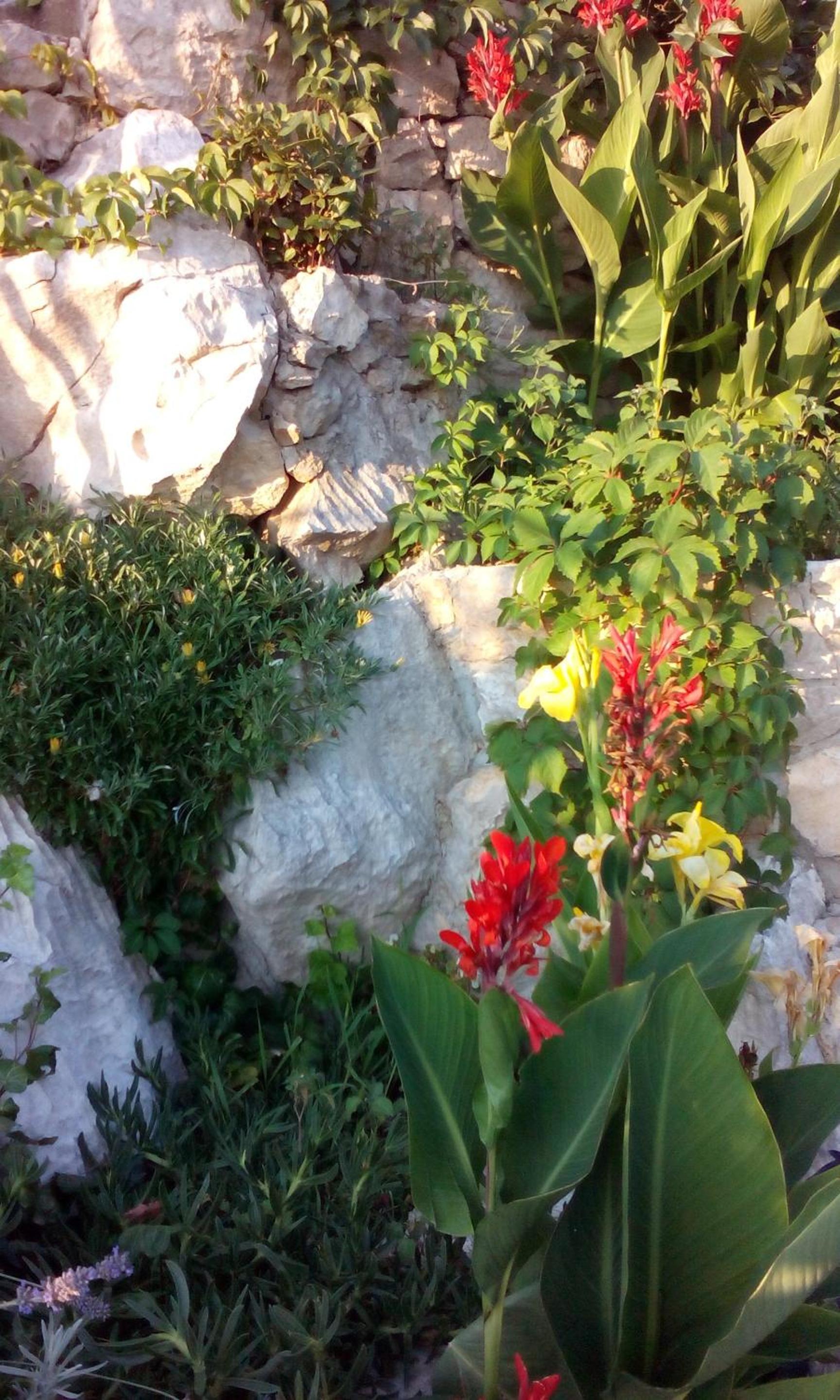 Photo 67