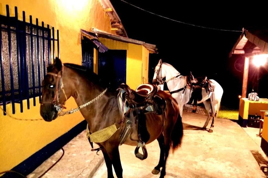 Finca Hotel Alto la María