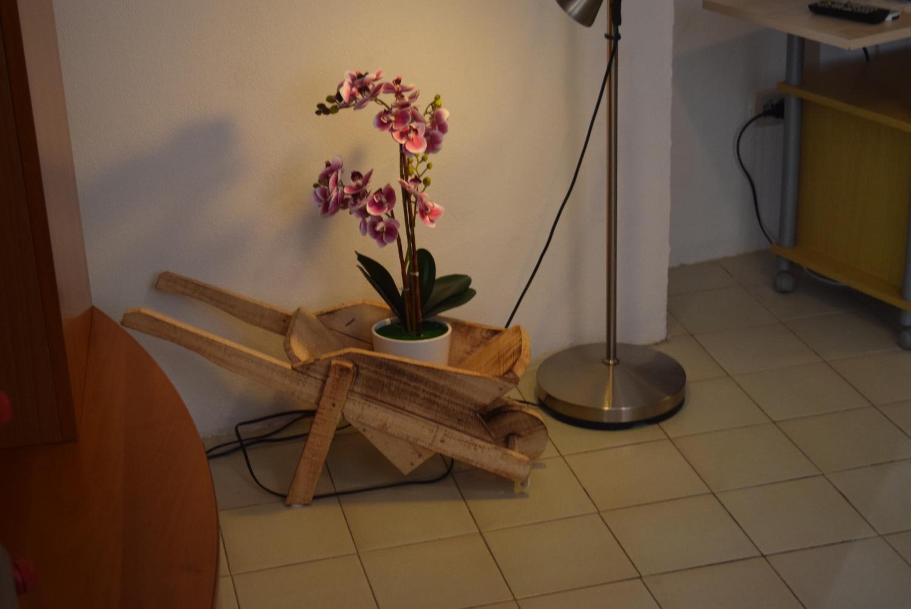 Photo 24