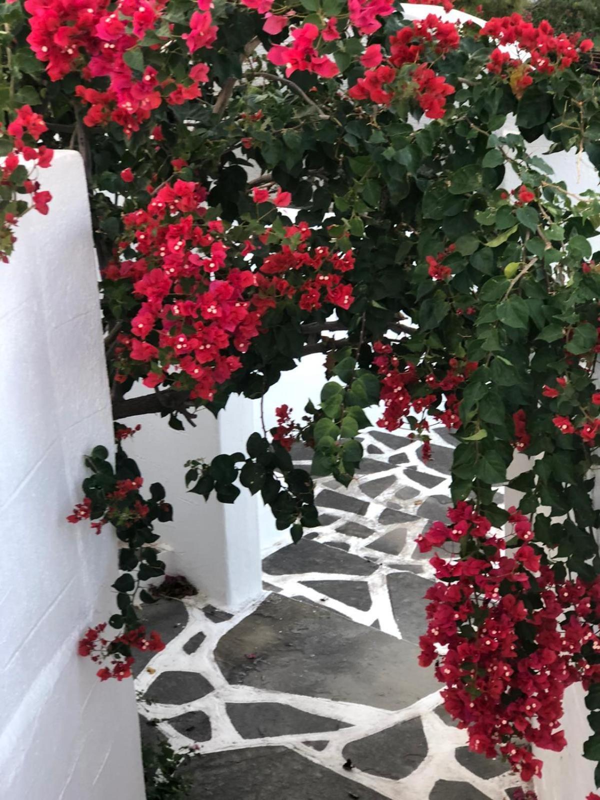 Pontoria Stegna Studios