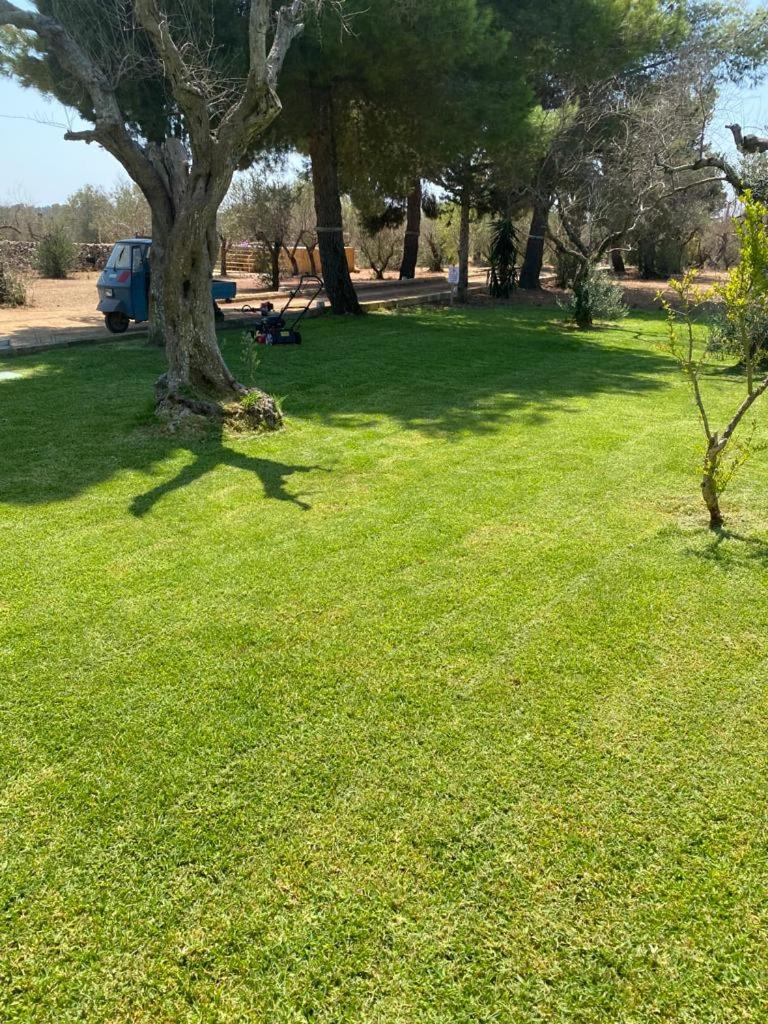 Photo 44