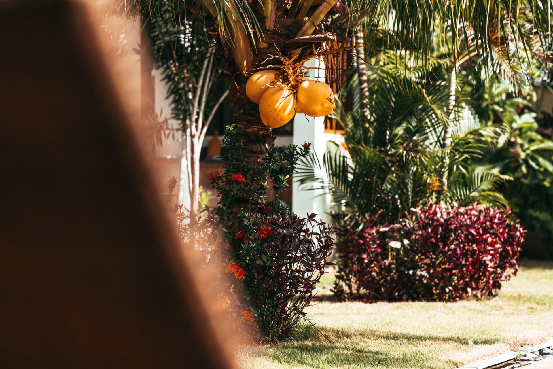 Bali Mynah Villas, Balangan Beach
