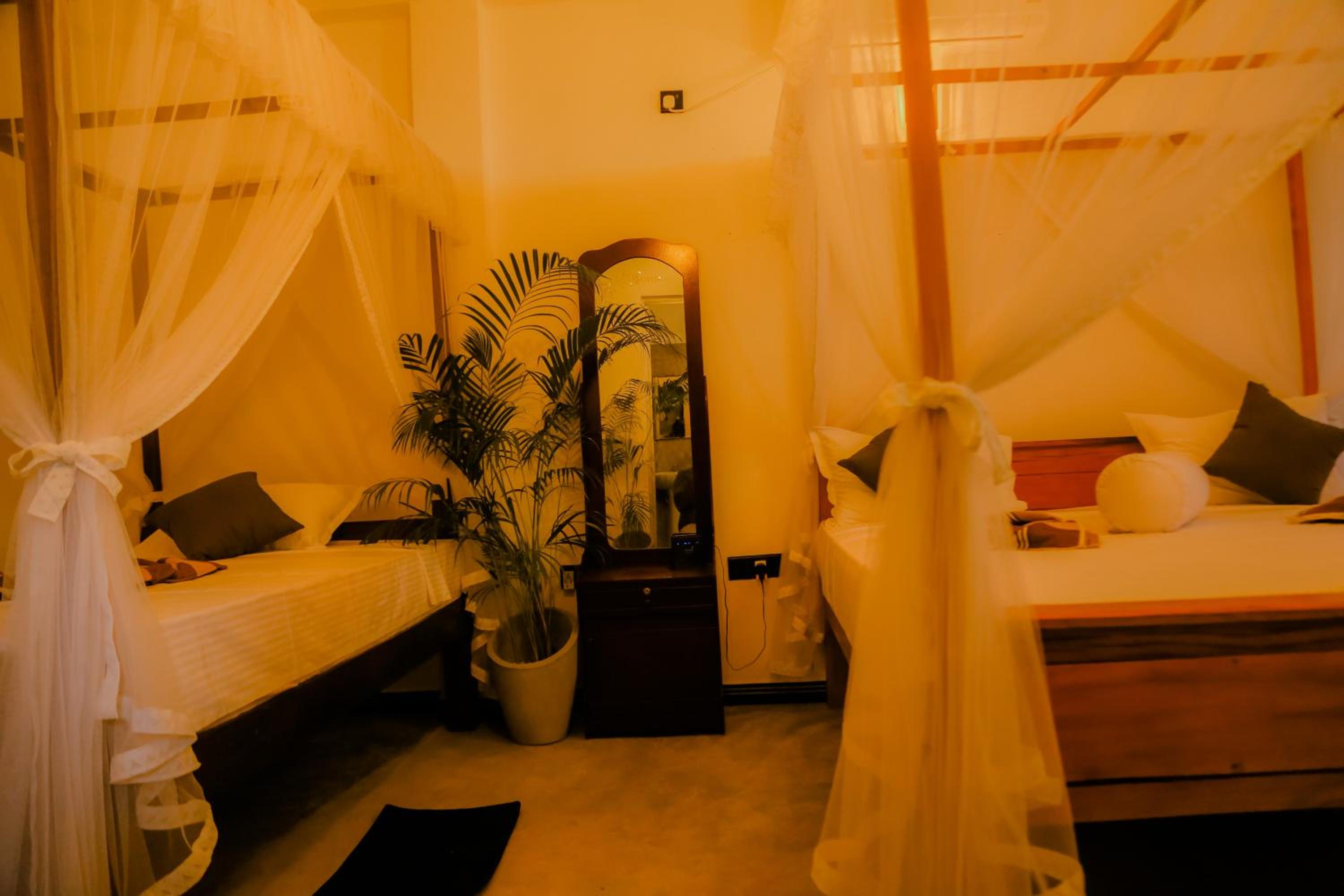 Ruwan Jungle Homestay view 3
