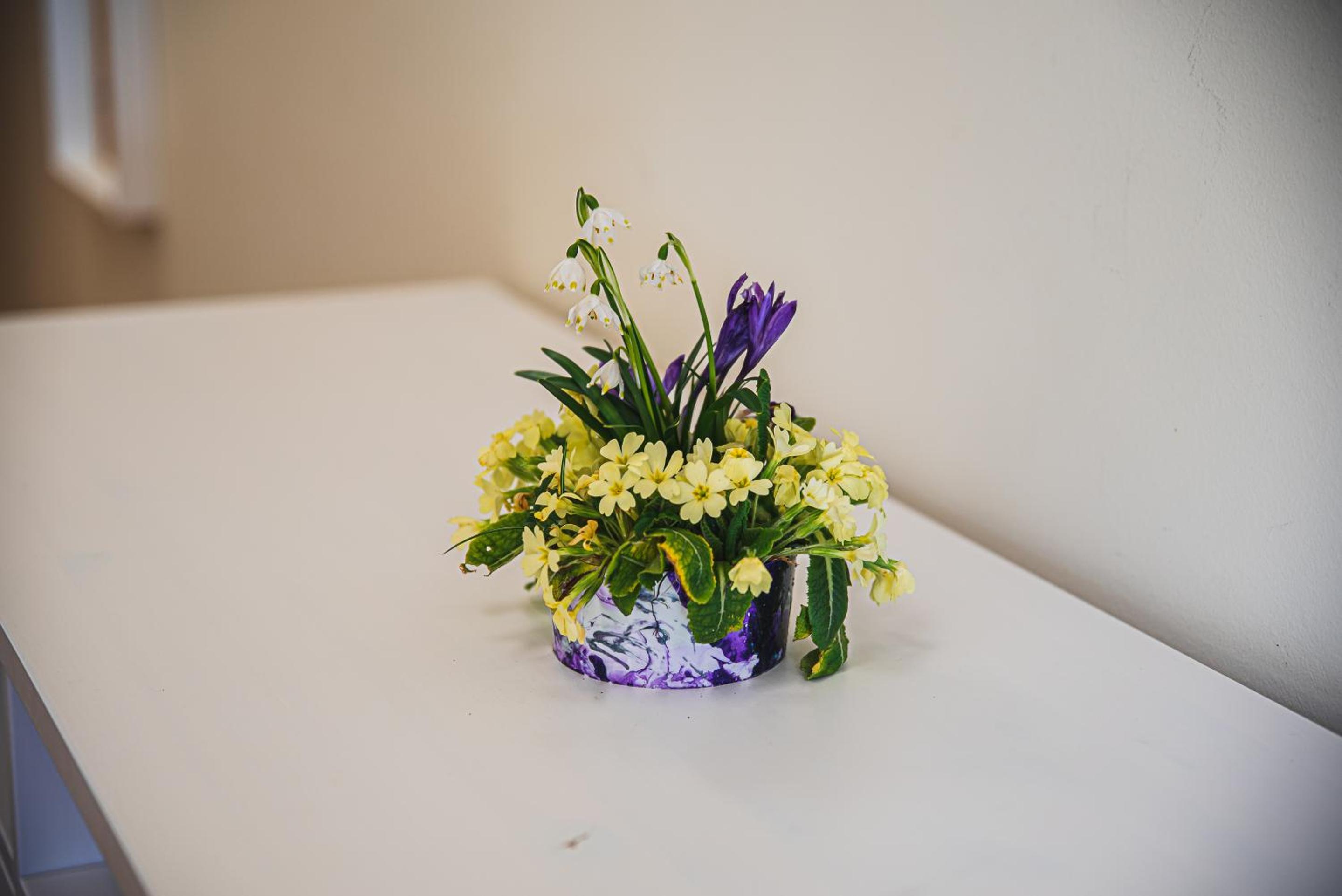 Photo 20
