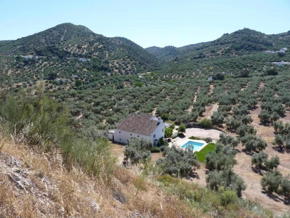 El Cerro del Almendral view 2