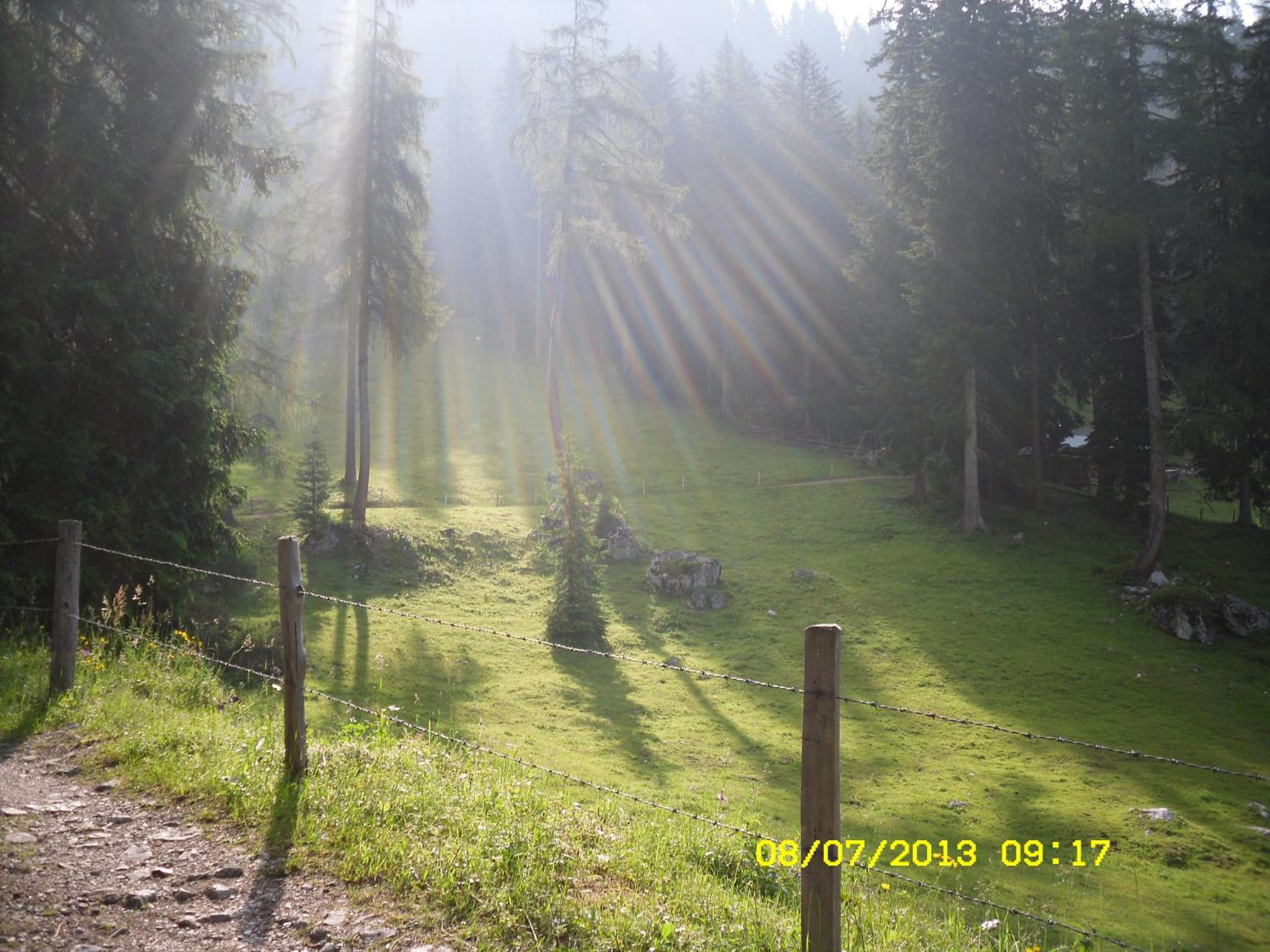 Vorderwiesgut