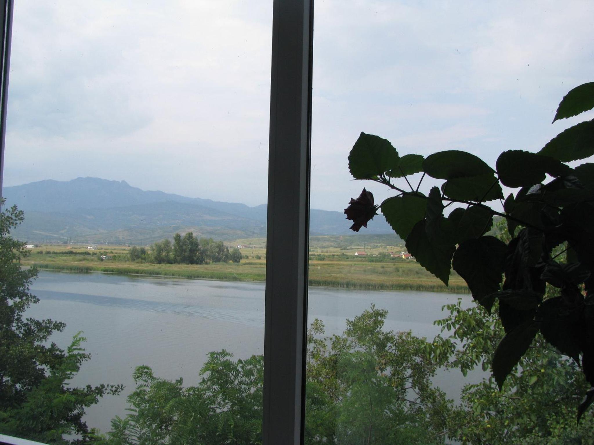 Photo 40