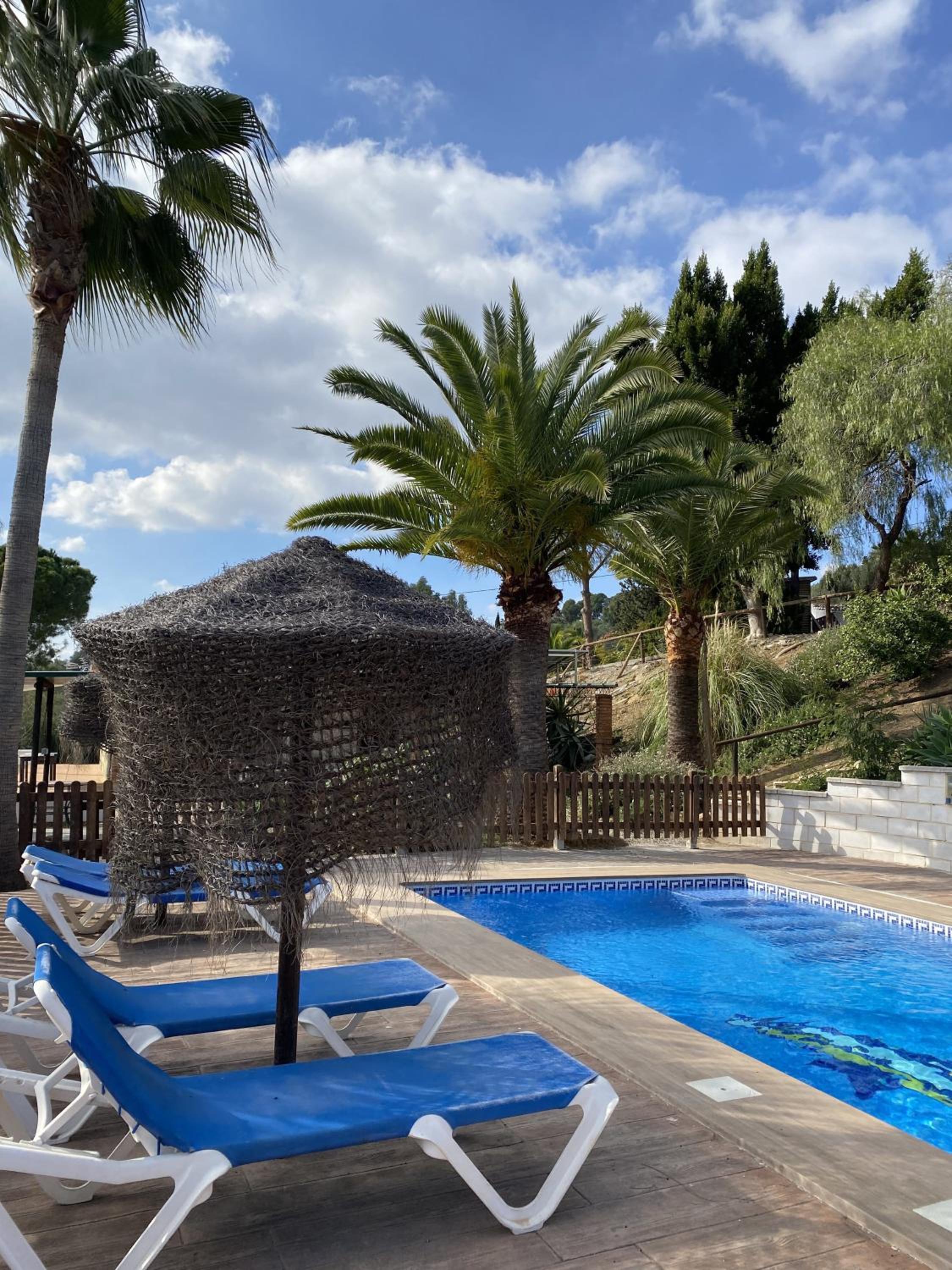 LAS PALMERAS photo 5