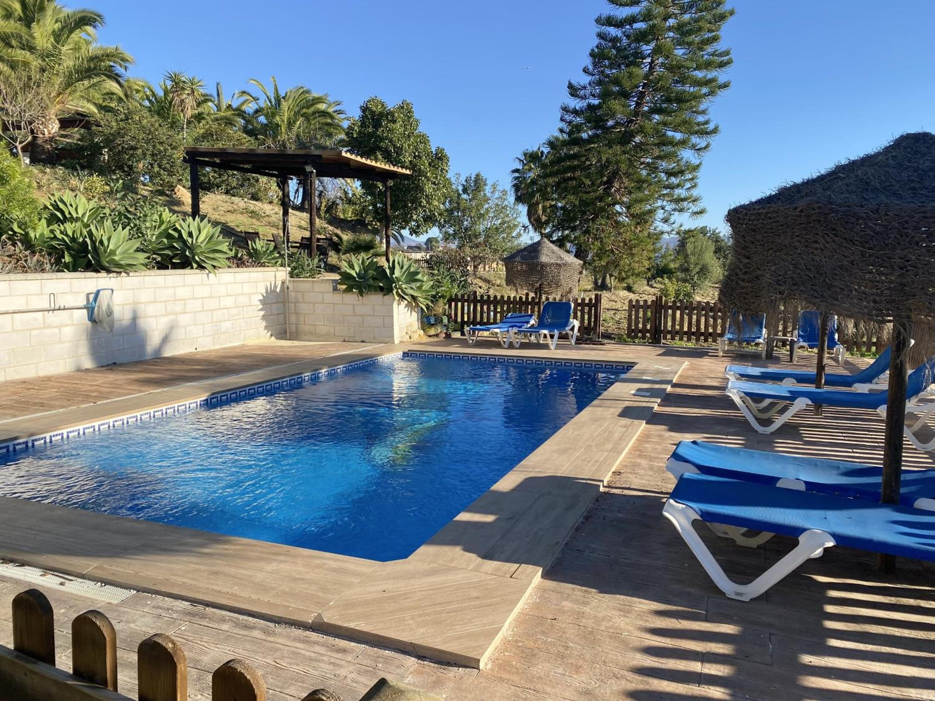 LAS PALMERAS photo 3