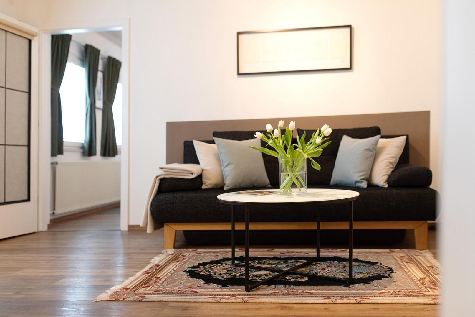 APARTMENT BIANCA, Salzburg city, contactless check-in, free parking